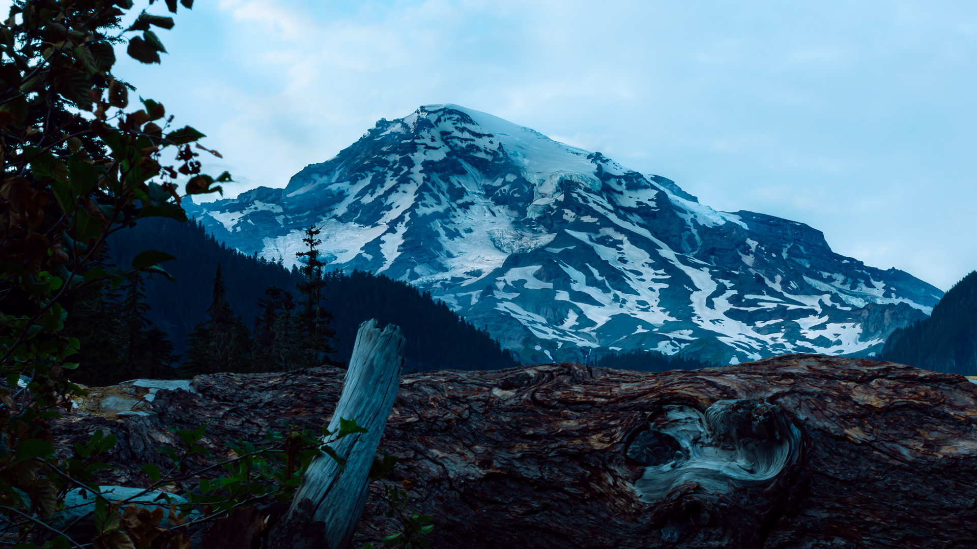 Mount Rainier National Park, WA