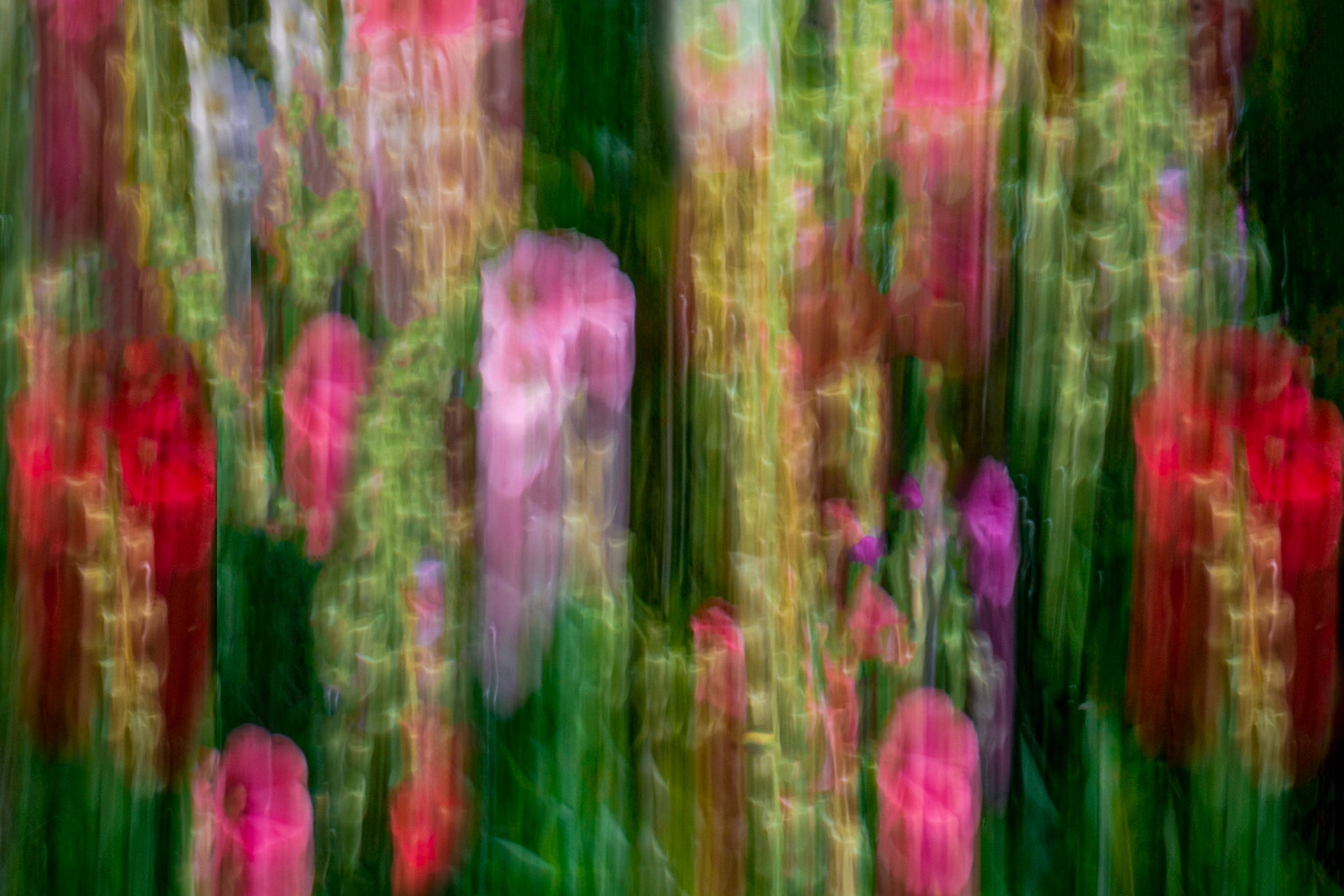 Gwen's Garden