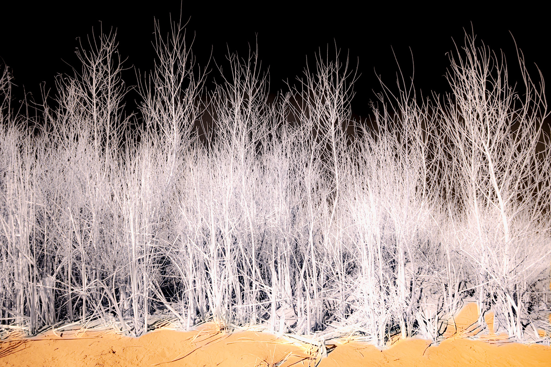 Sand Hollow State Park