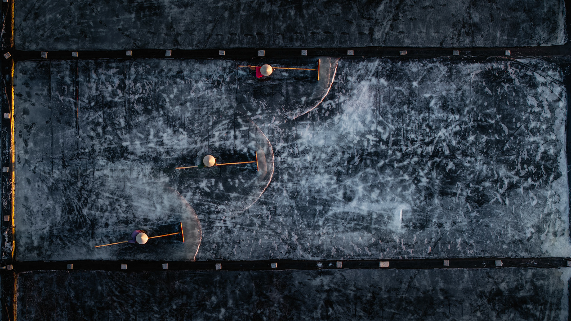 Rhythmic precision viewed from above. The grueling reality of the harvest is captured here as a sweeping visual performance.