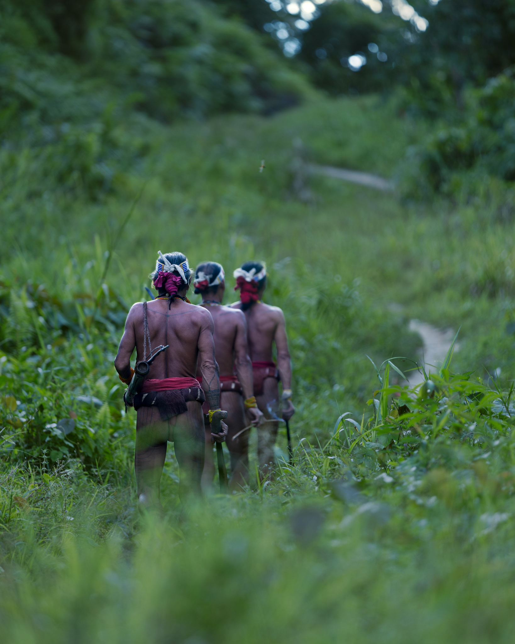 Into the Wild - Agreement reached, the group turns their backs to the village and steps off the cleared ground. Their red loincloths stand out against the verdant green, a vibrant signal of human presence as they enter nature's vast domain.