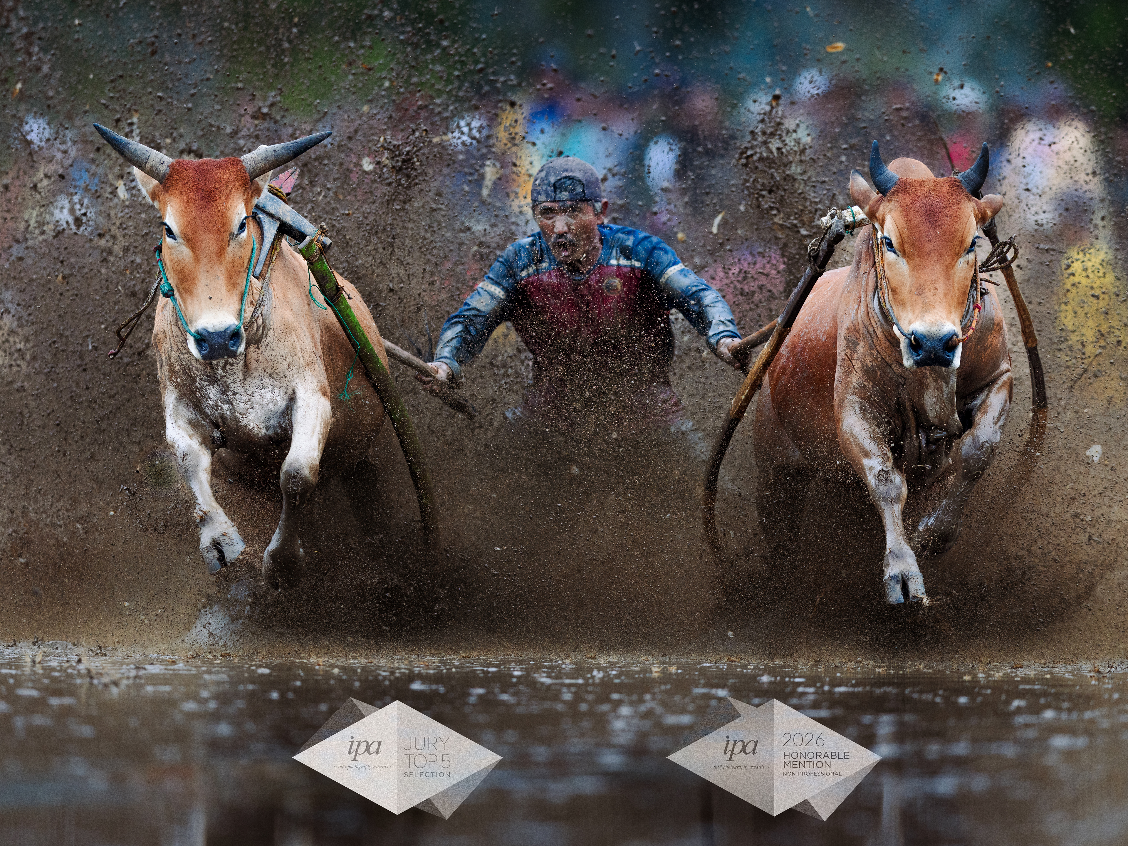 Mud - Muscle - Heritage