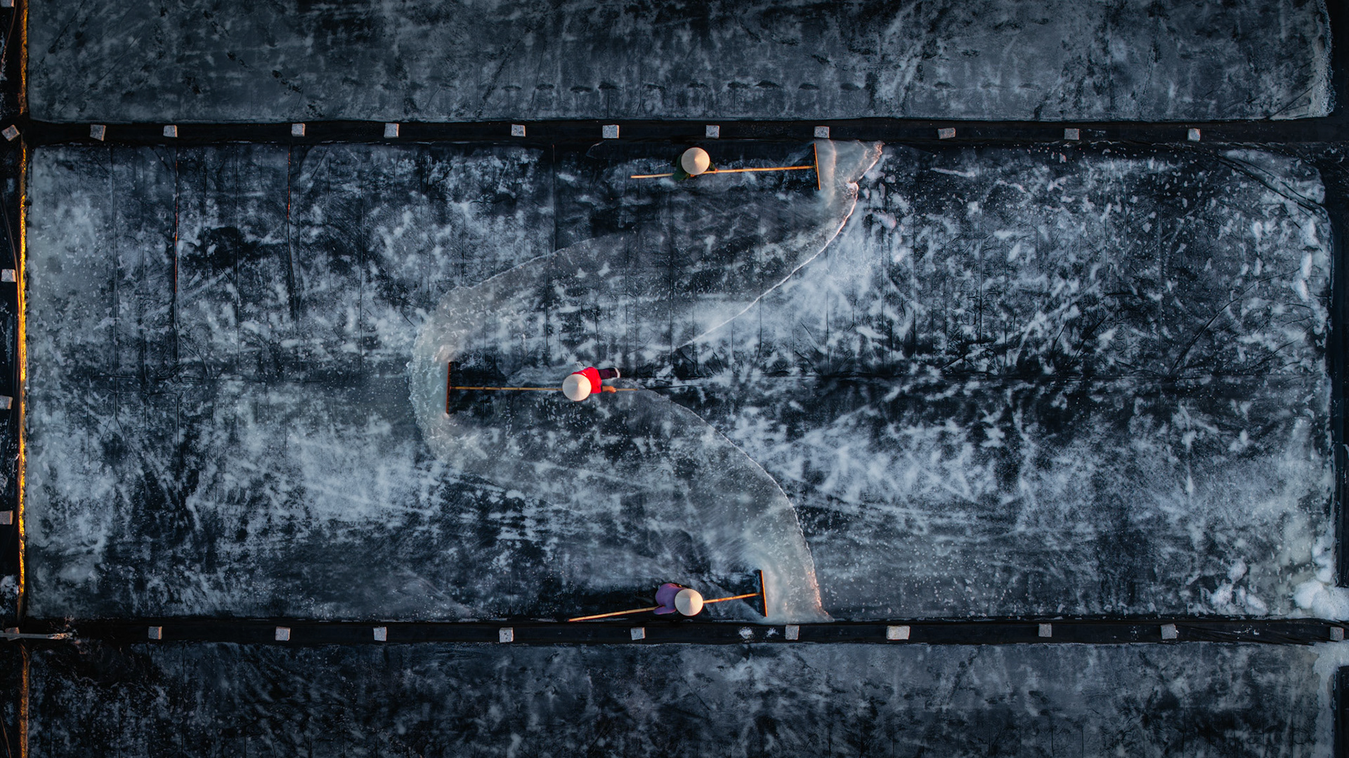 The final movements of the evening harvest, preserving the stark beauty of an intensely demanding landscape.