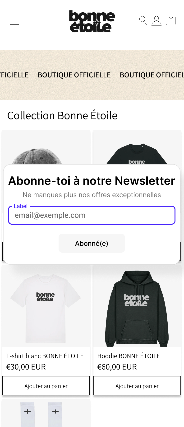 Pop up Newsletter