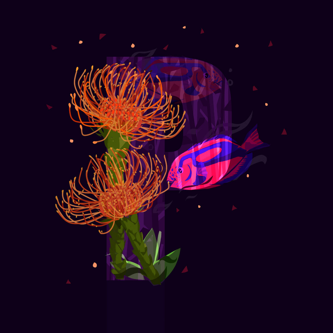 P for Parrot Fish and Pincushion Flower