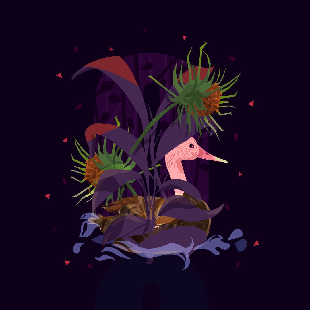 Here for the number zero, I included an extinct Indian bird for fauna - Pink-Headed Duck and for flora its a Petal-less Sunflower.