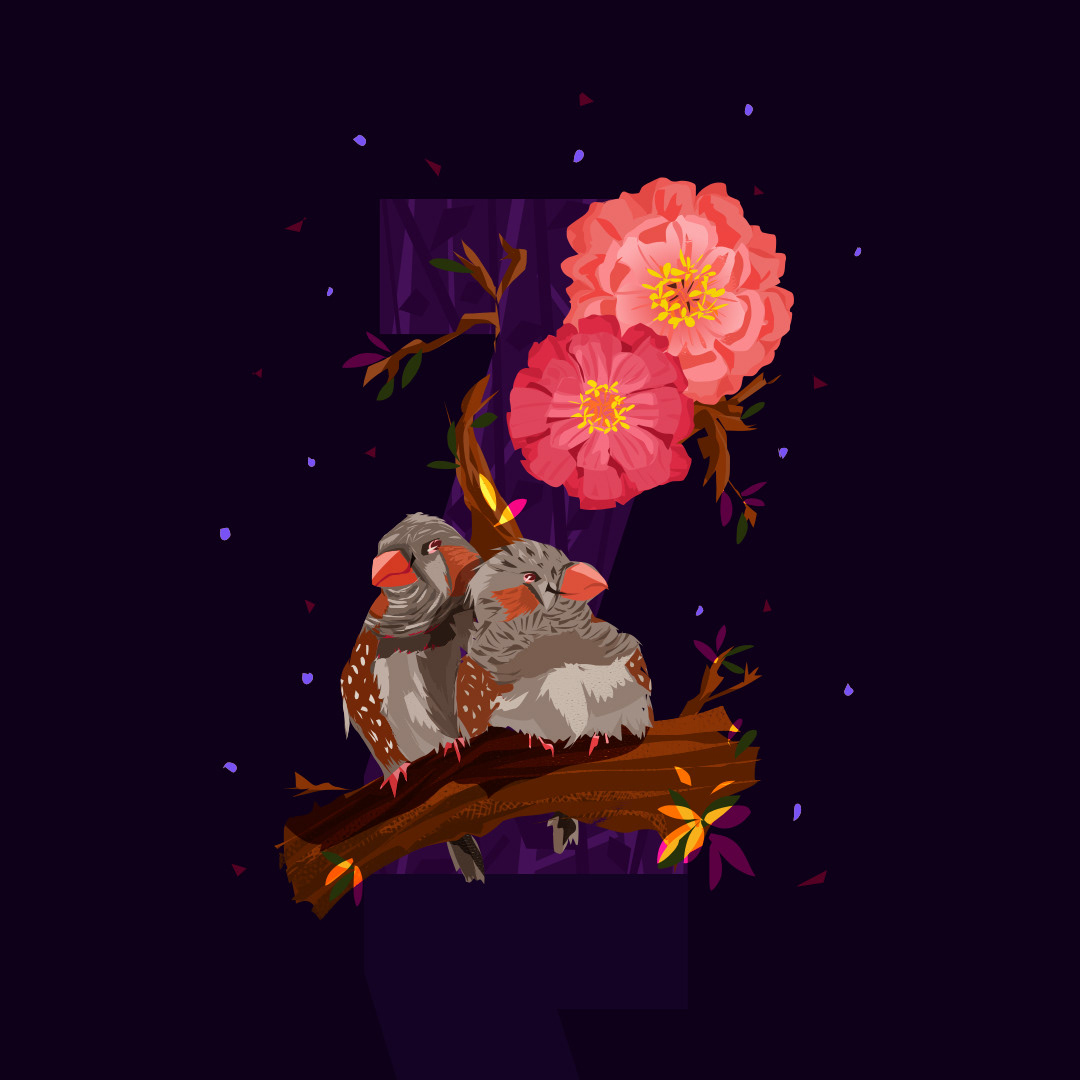 Z for Zebra Finch and Zinnia