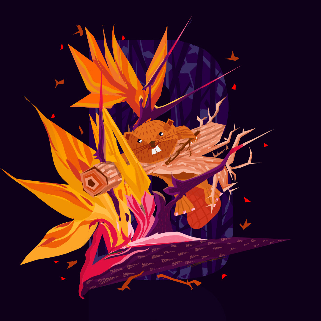 B for Beaver and Bird of Paradise