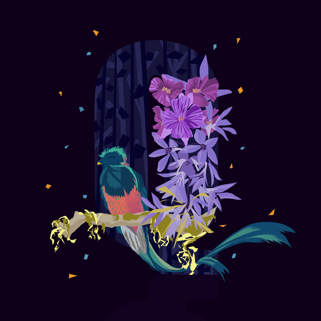 Q for Quetzal and Queen's Wrath