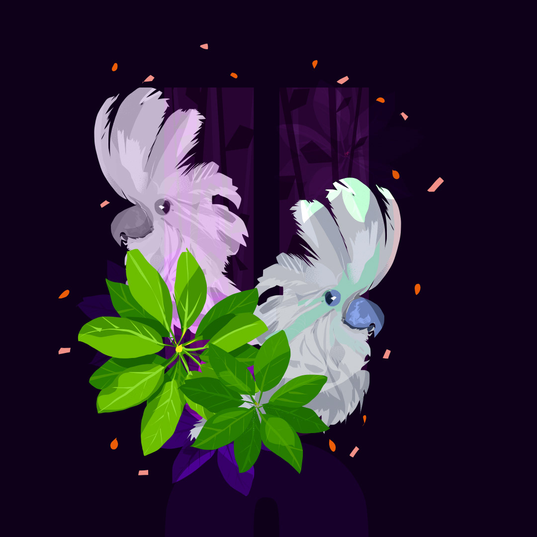 U for Umbrella Cockatoo and Umbrella Plant