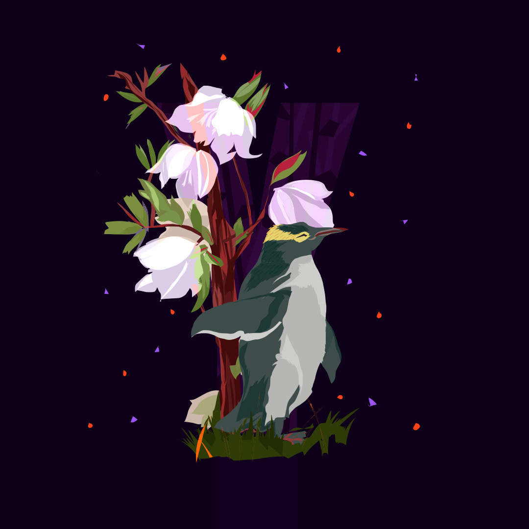 Y for Yellow-Eyed Penguin and Yucca
