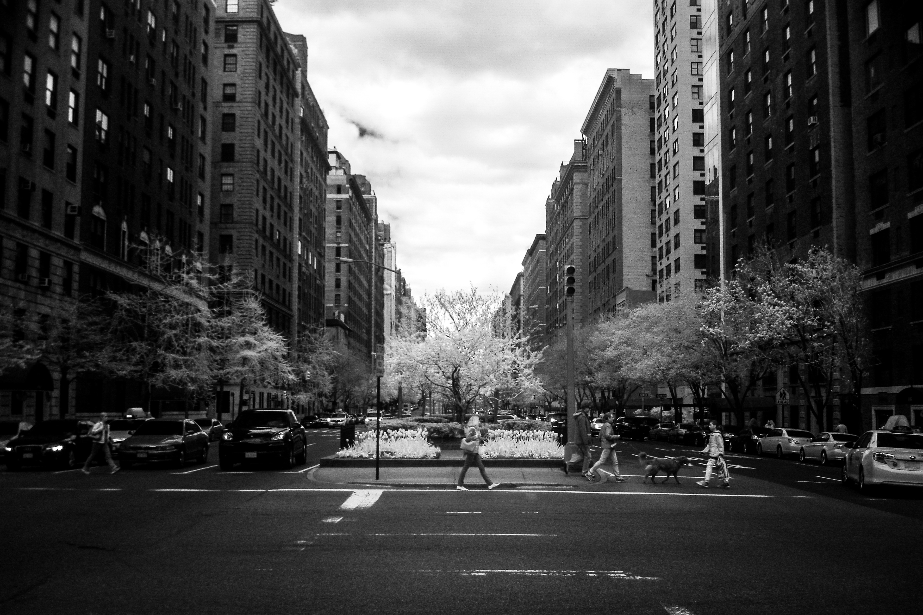 Union Square Skyline