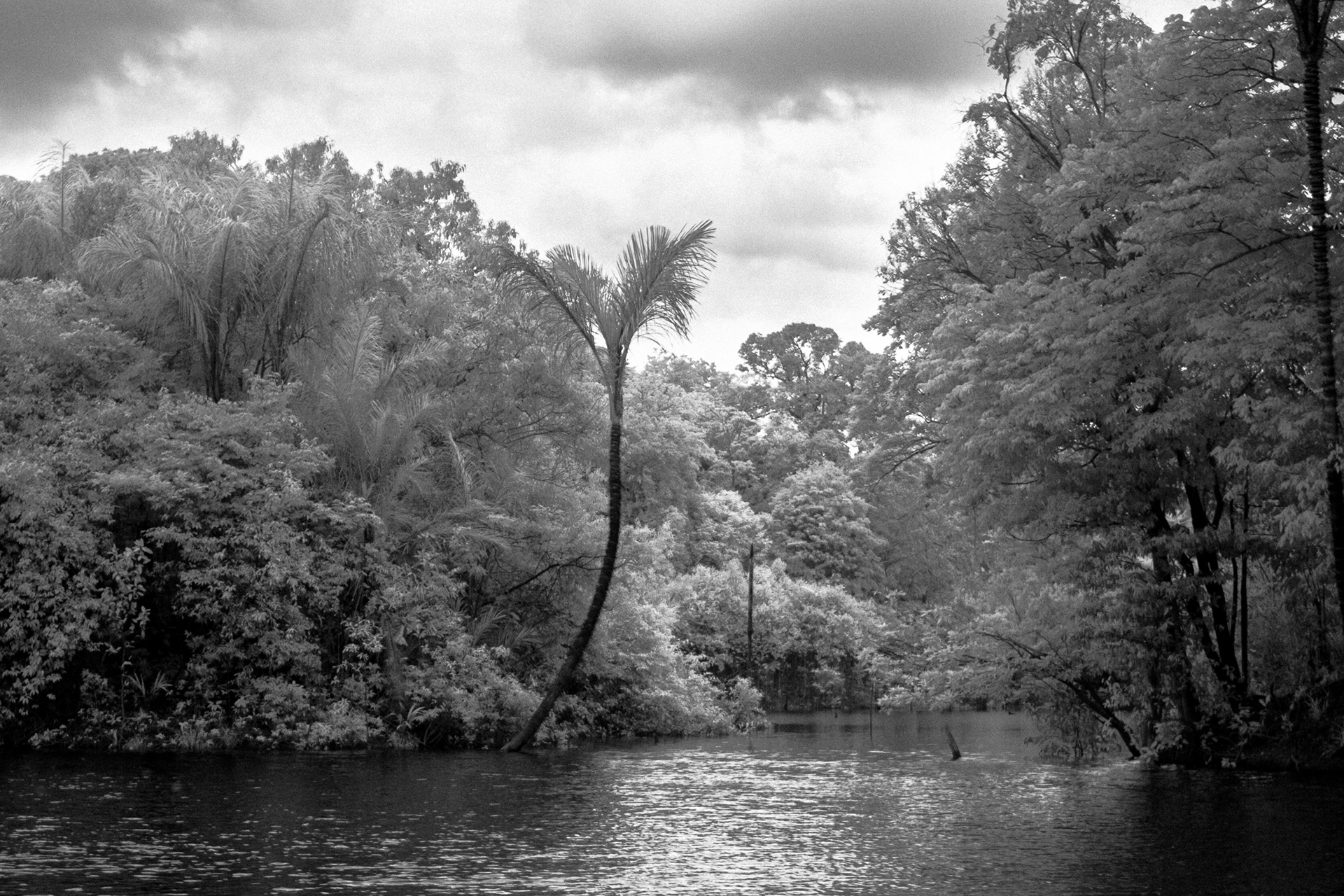 Rio Uatumã