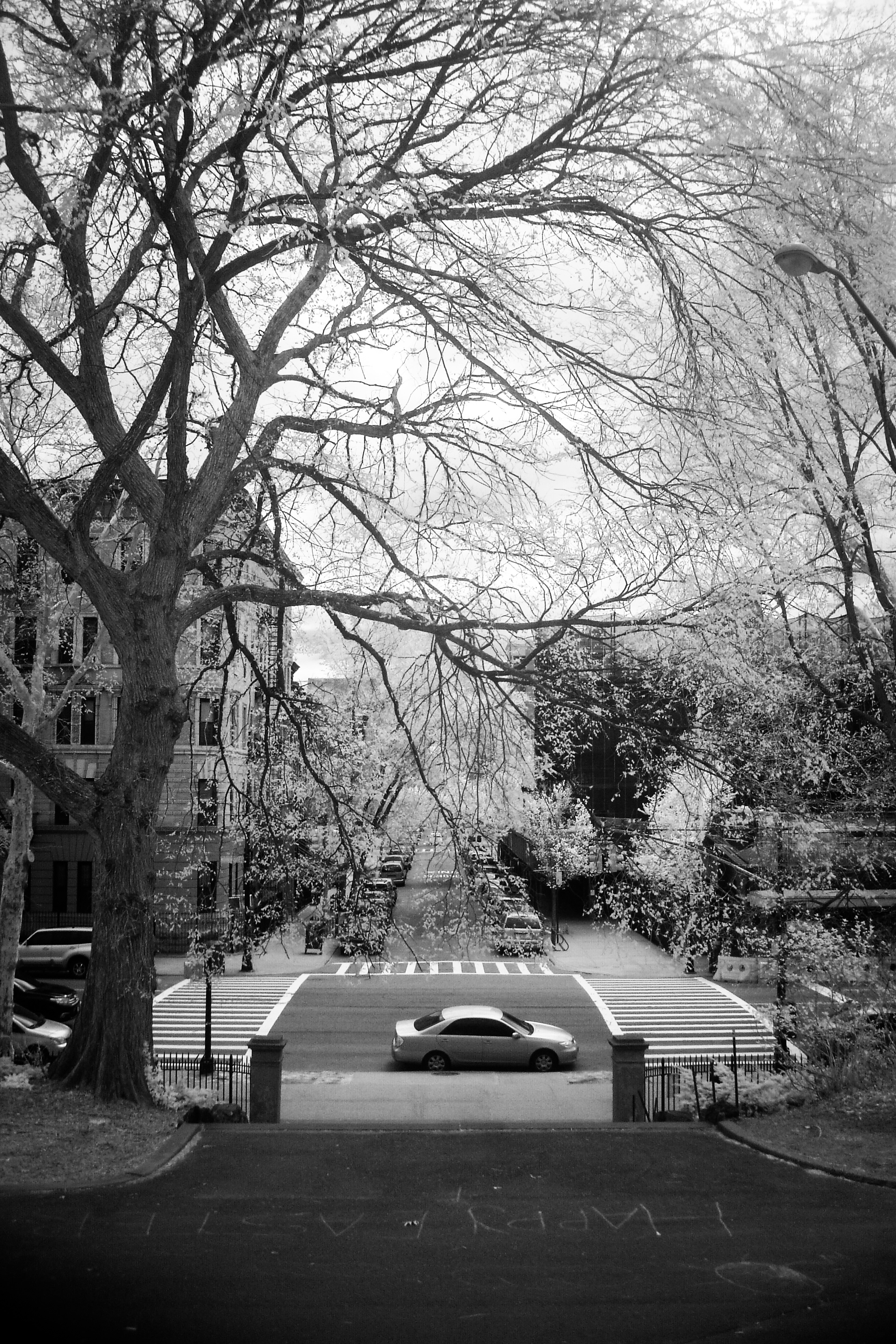 Morningside Park