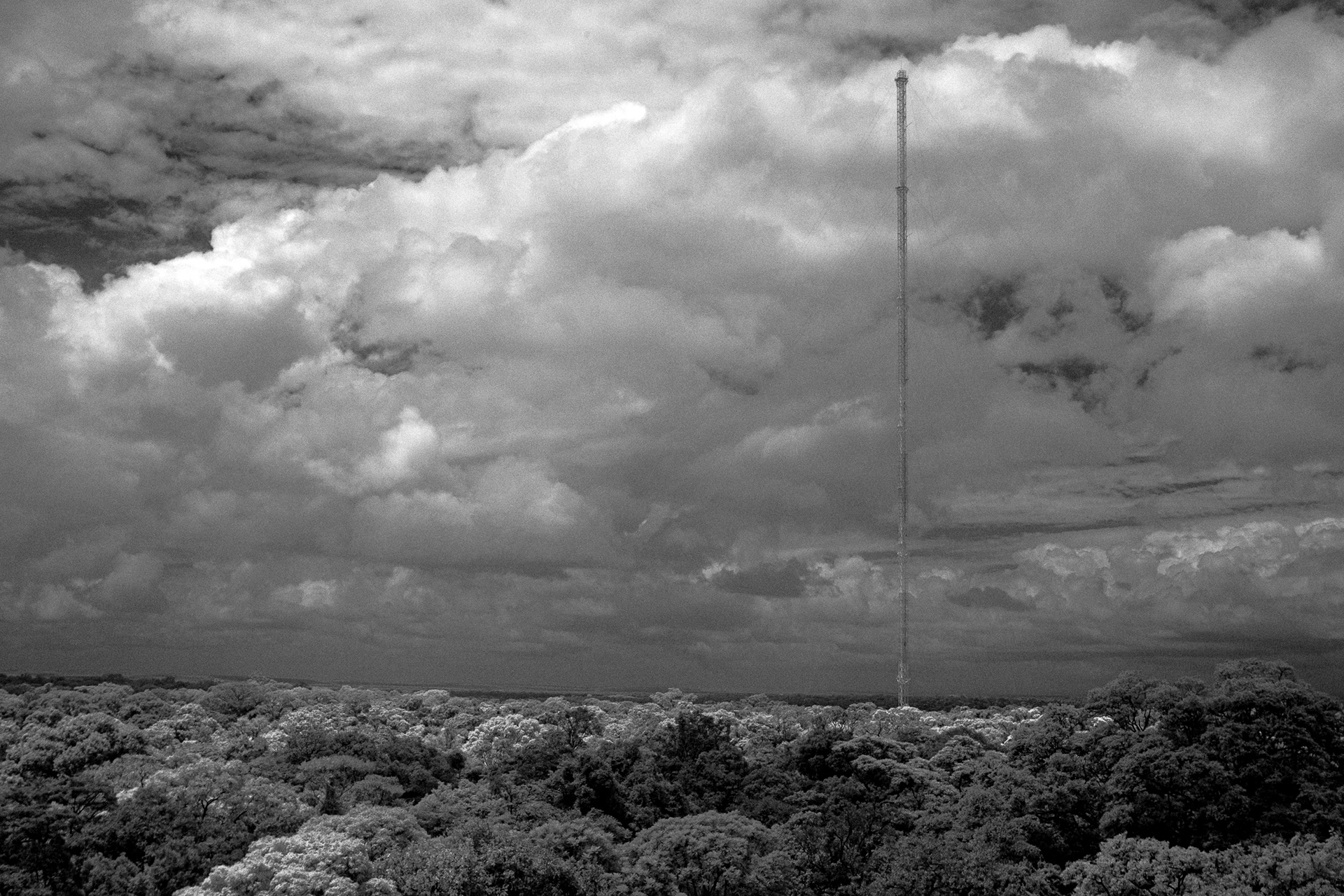 Torre ATTO, São Sebastião do Uatumã