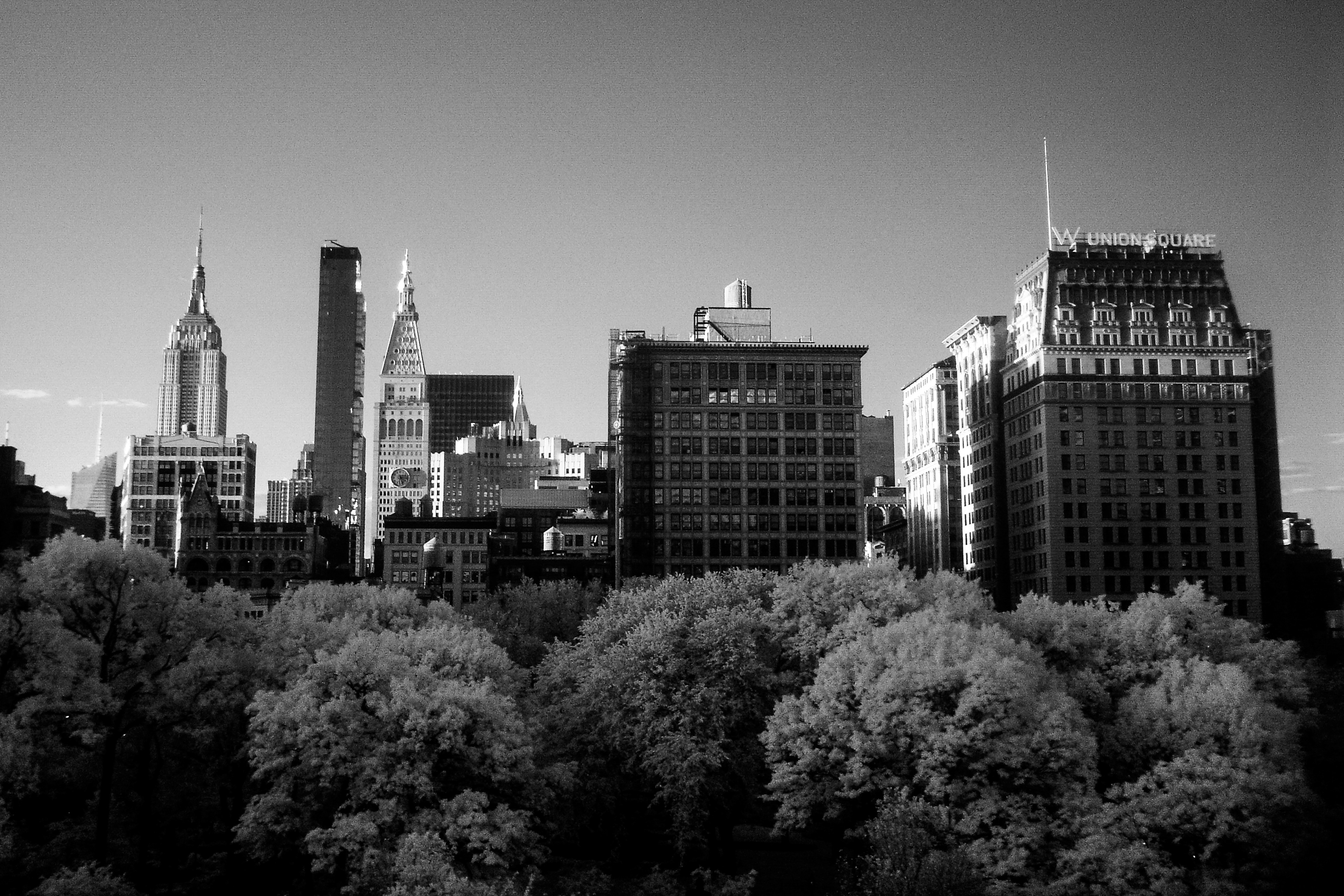 Union Square Skyline