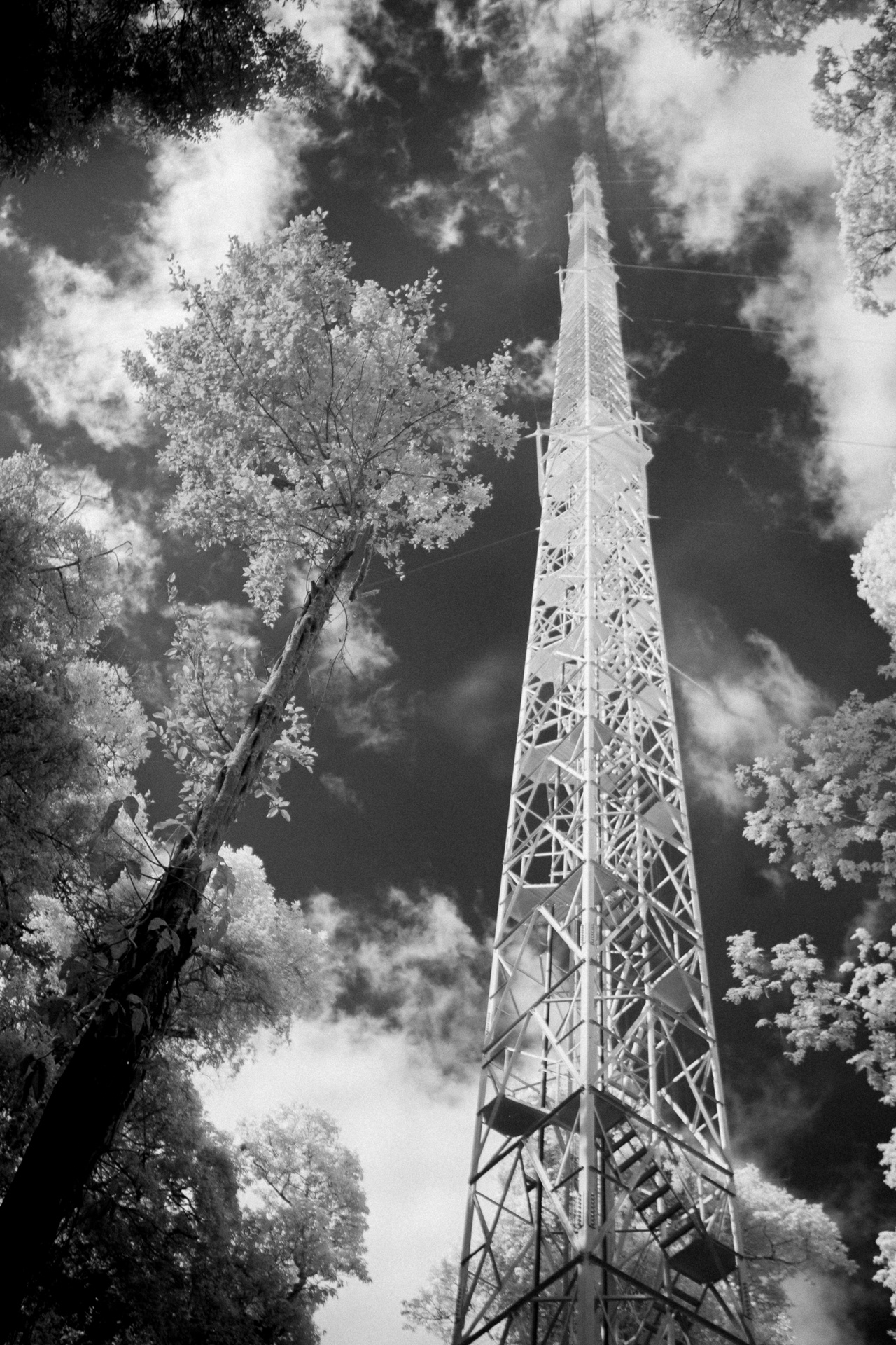19. Looking Up