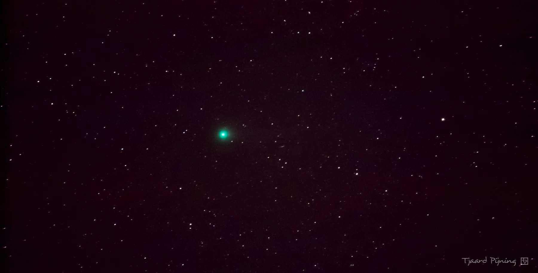 Lovejoy - Tjaard Pijning Fotografie