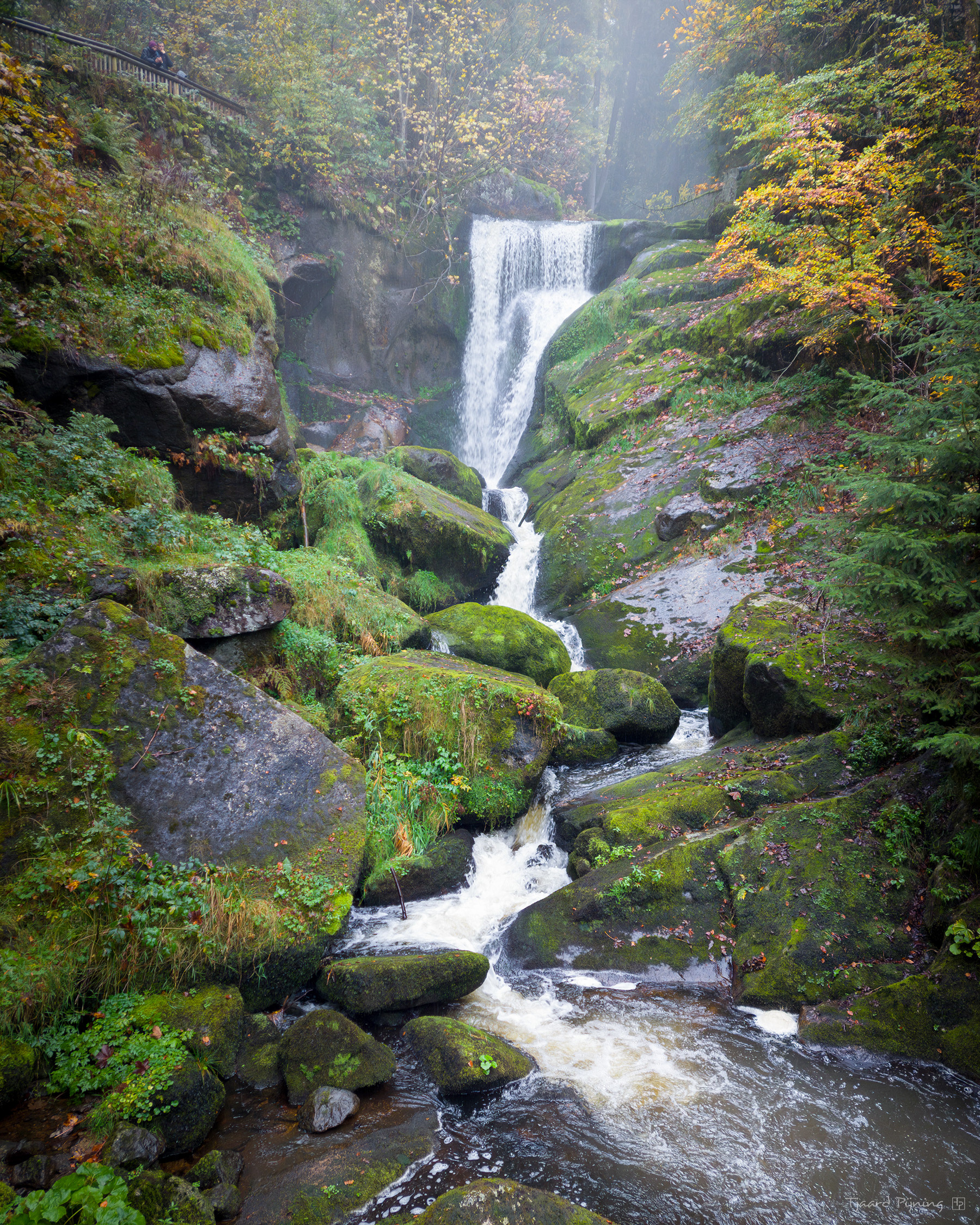 Triberg - Tjaard Pijning Fotografie