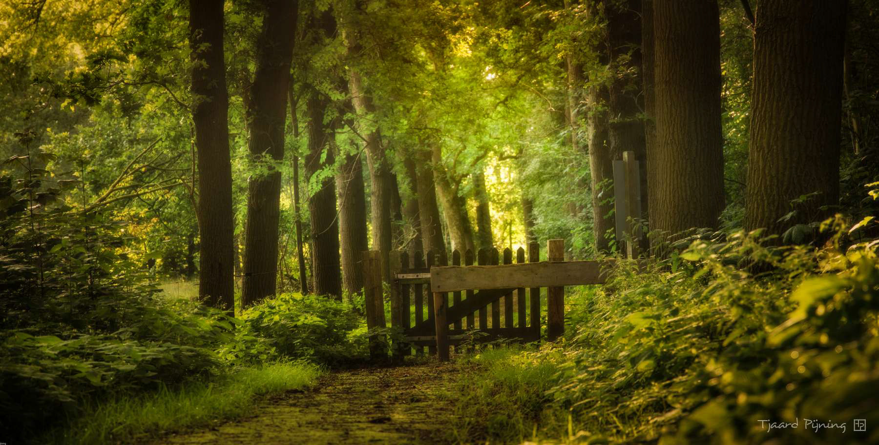 This way - Tjaard Pijning Fotografie
