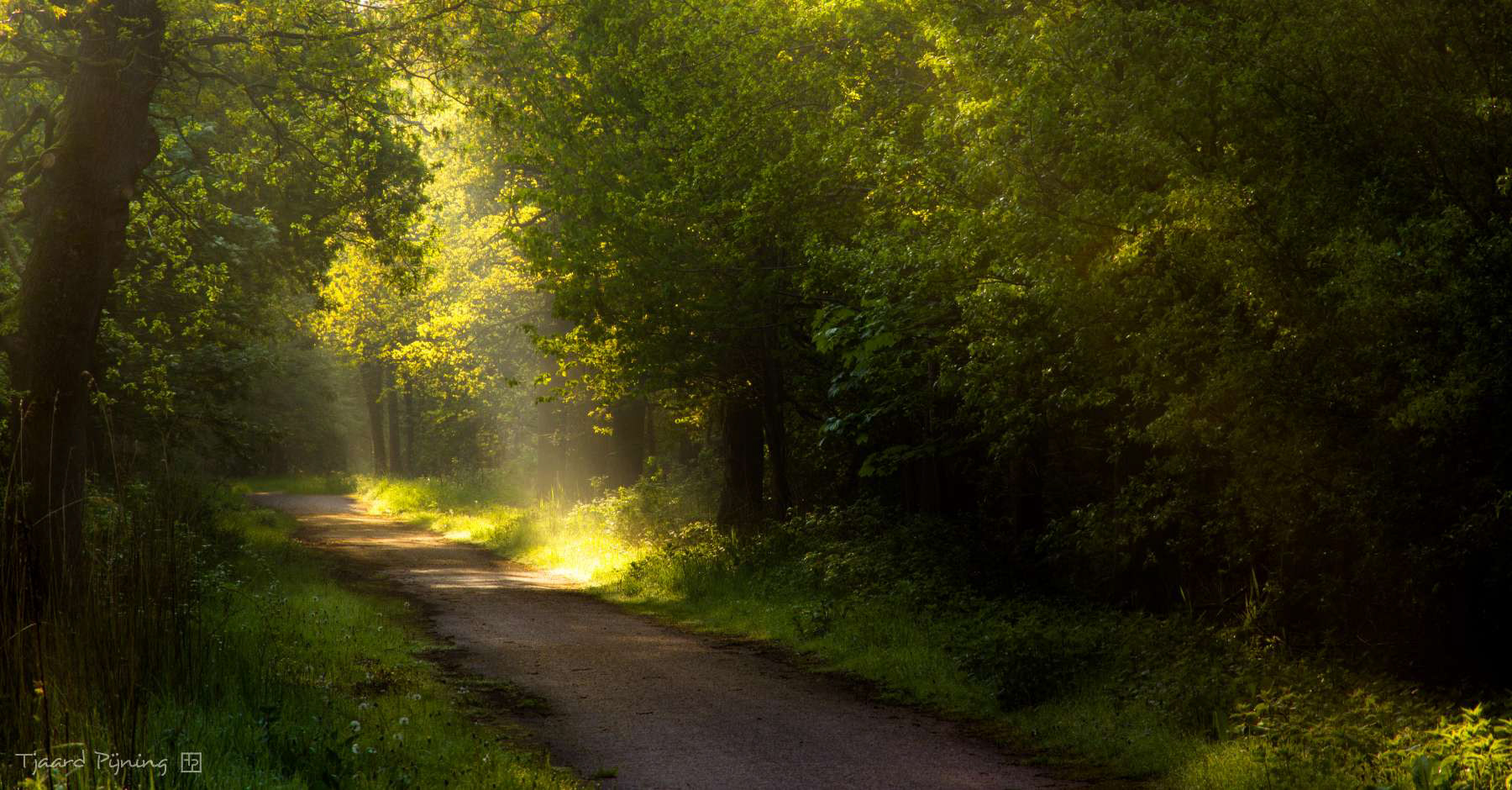 Naar het licht - Tjaard Pijning Fotografie