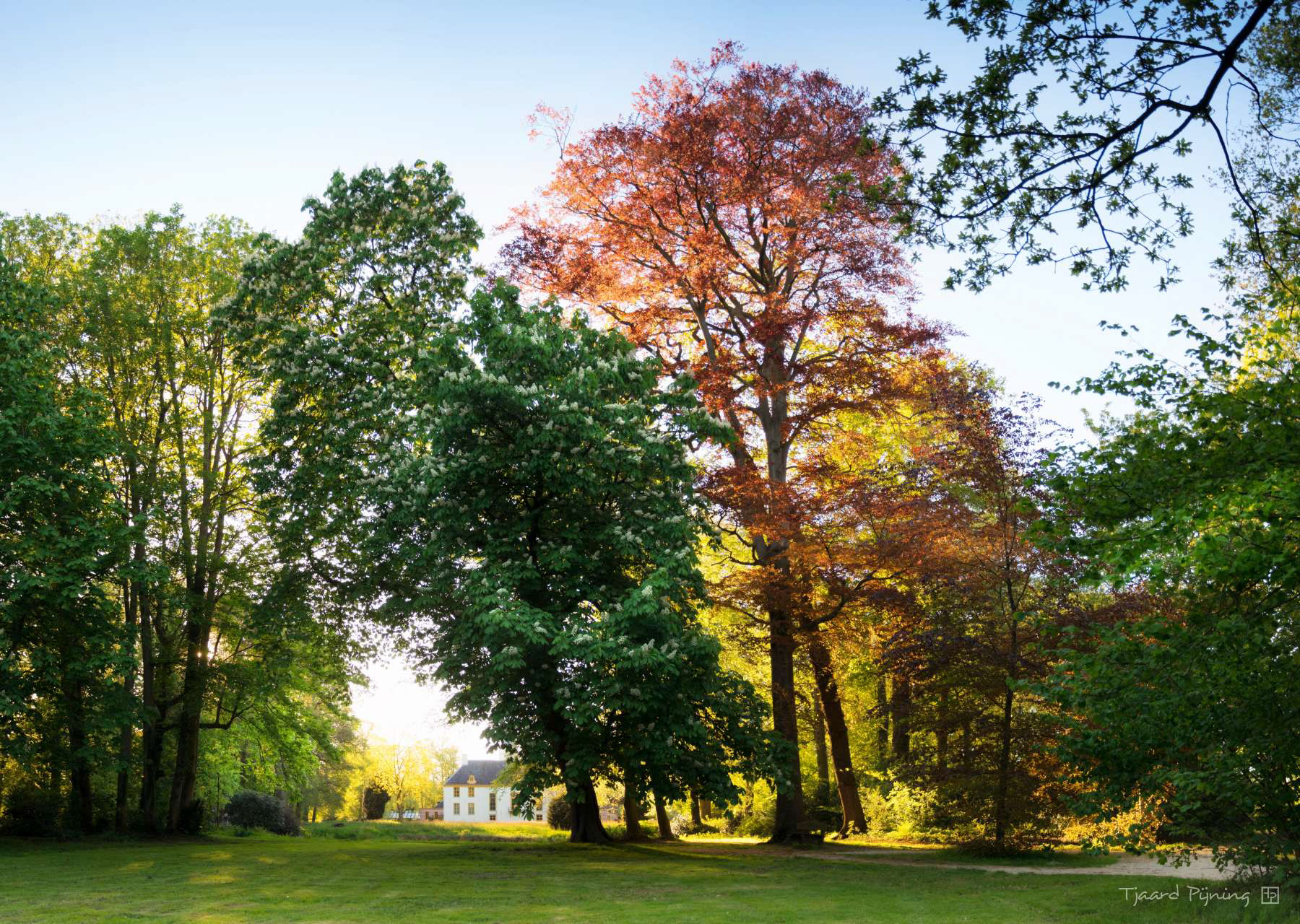 Herfst in de lente - Tjaard Pijning Fotografie