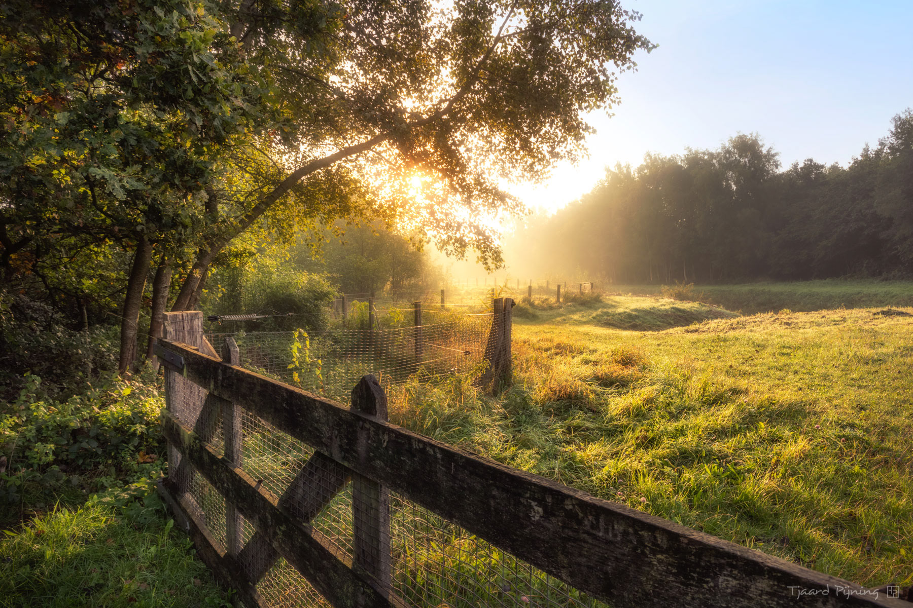 Nevelmorgen - Tjaard Pijning Fotografie