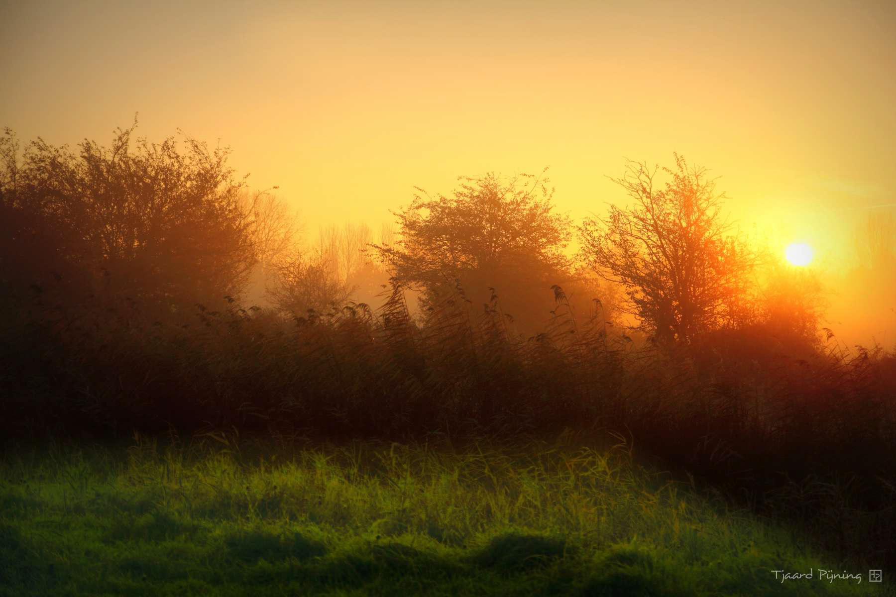 Noorddijk - Tjaard Pijning Fotografie