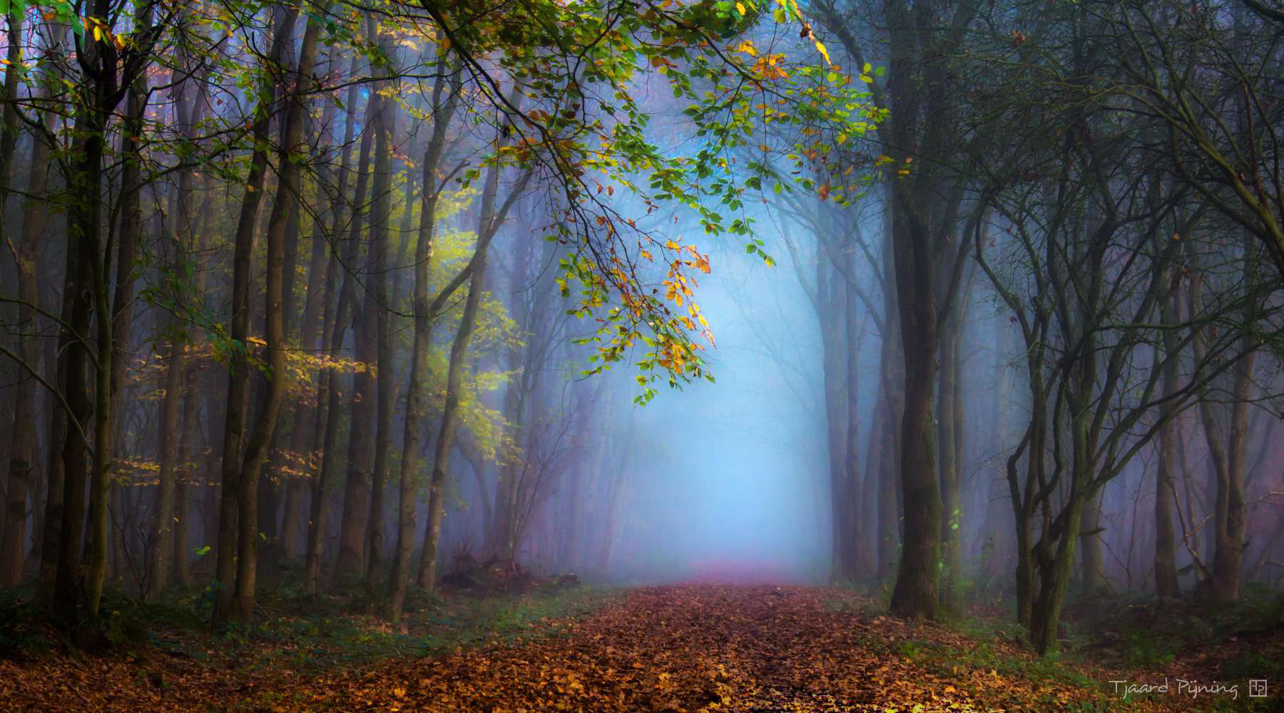 Laatste herfstkleuren - Tjaard Pijning Fotografie