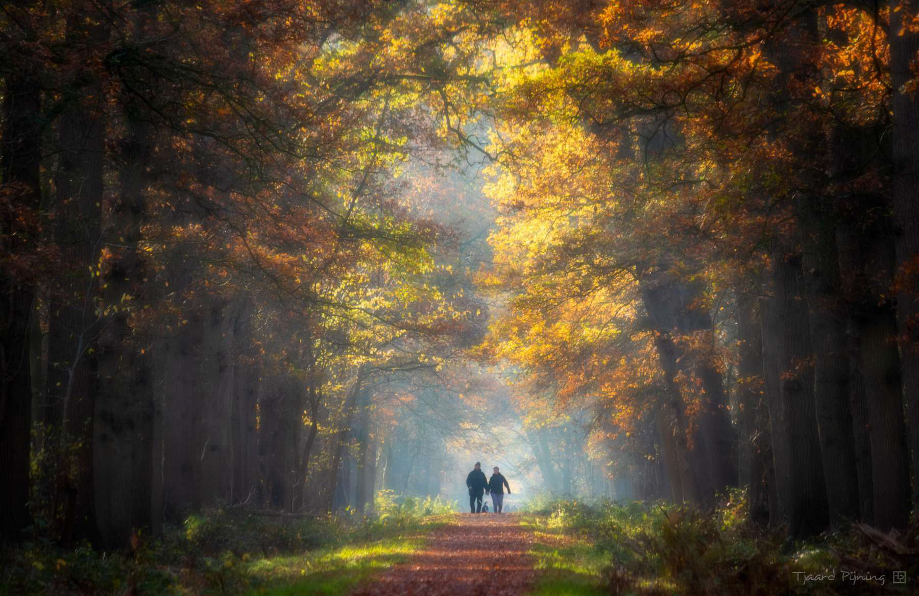 Lopen in het licht - Tjaard Pijning Fotografie
