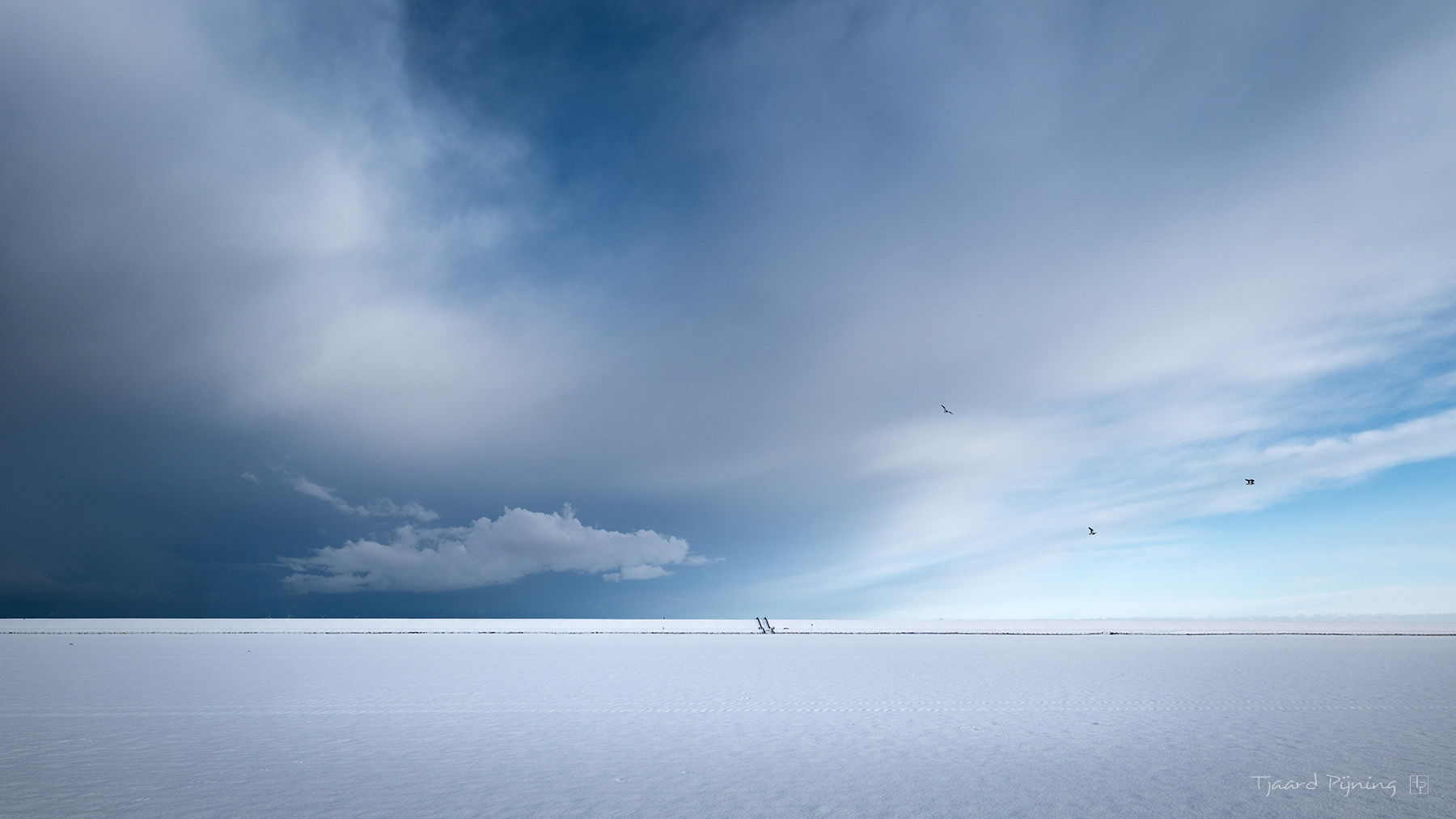 Wit - Tjaard Pijning Fotografie