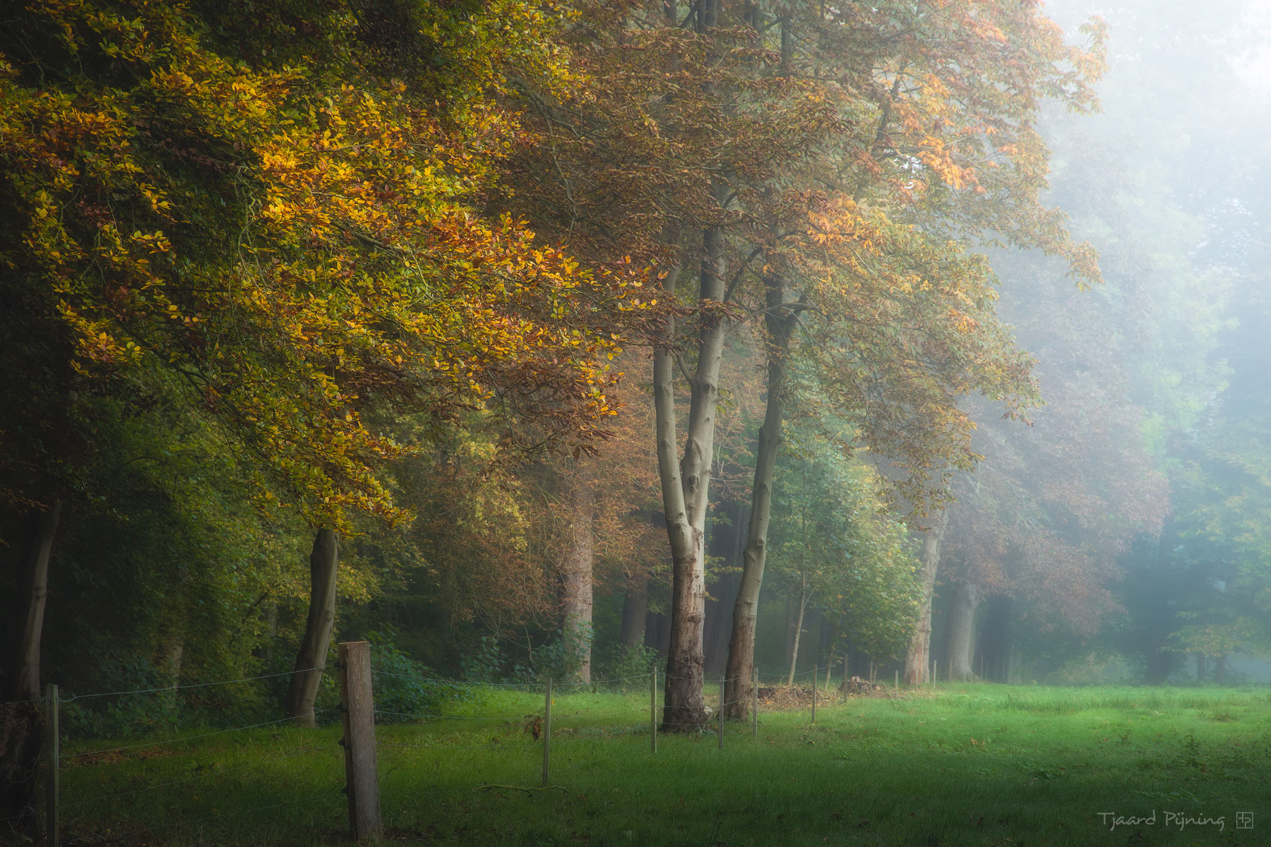 Naar het onbekende - Tjaard Pijning Fotografie