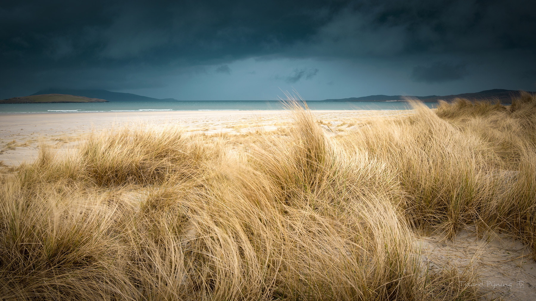 Marram grass - Tjaard Pijning Photography