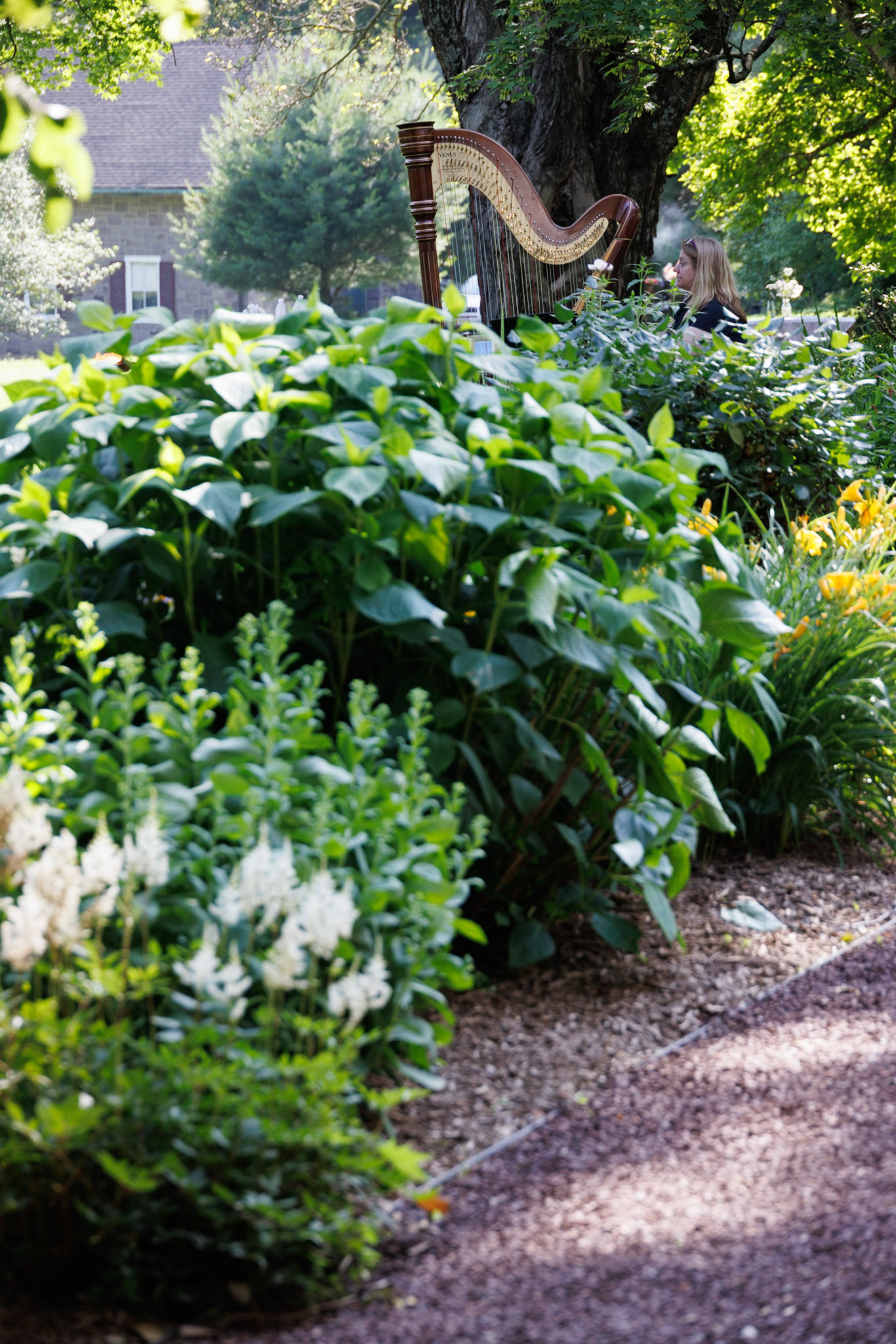 June 21 - Manor House Frong Garden