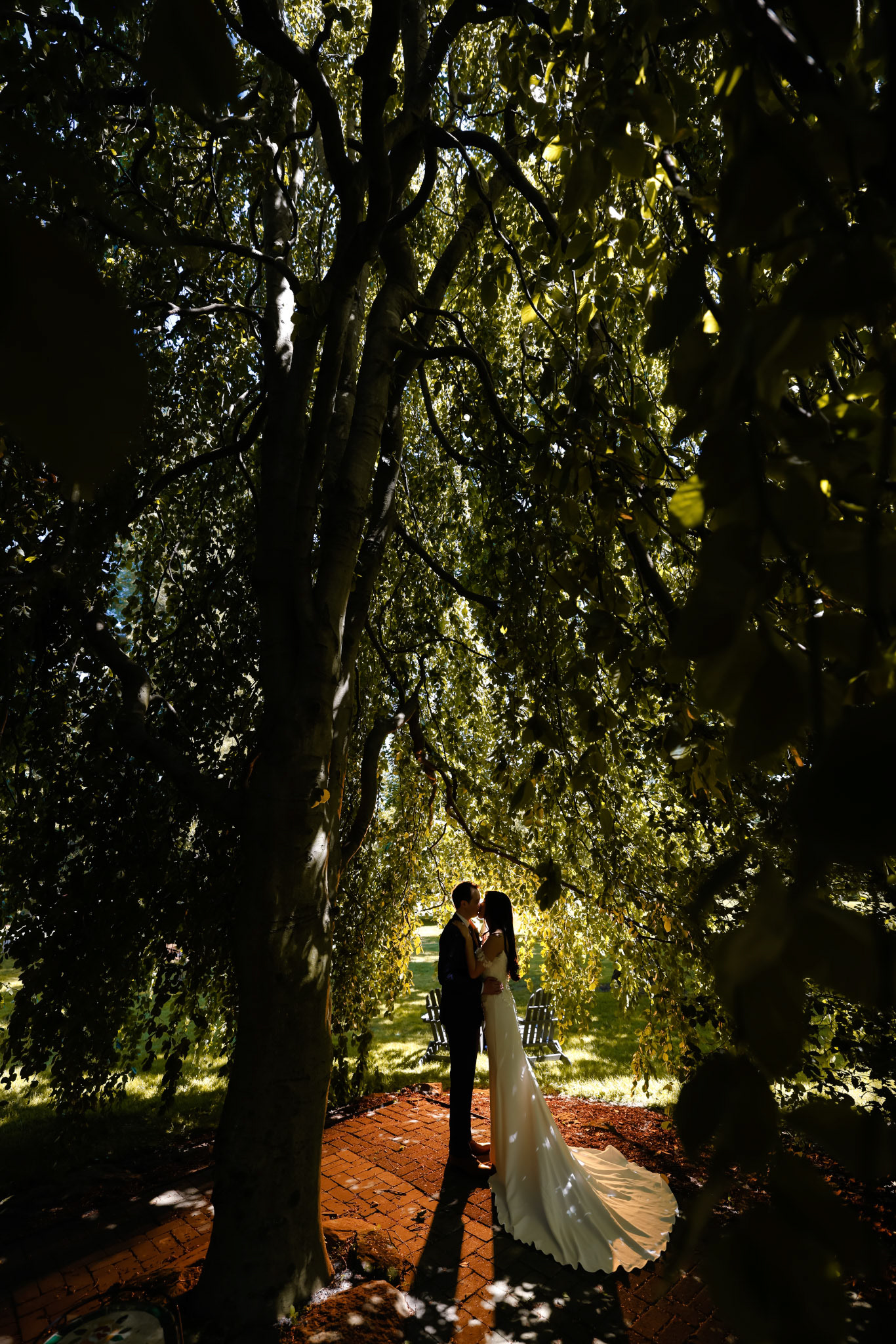 Beneath the Weeping Beech