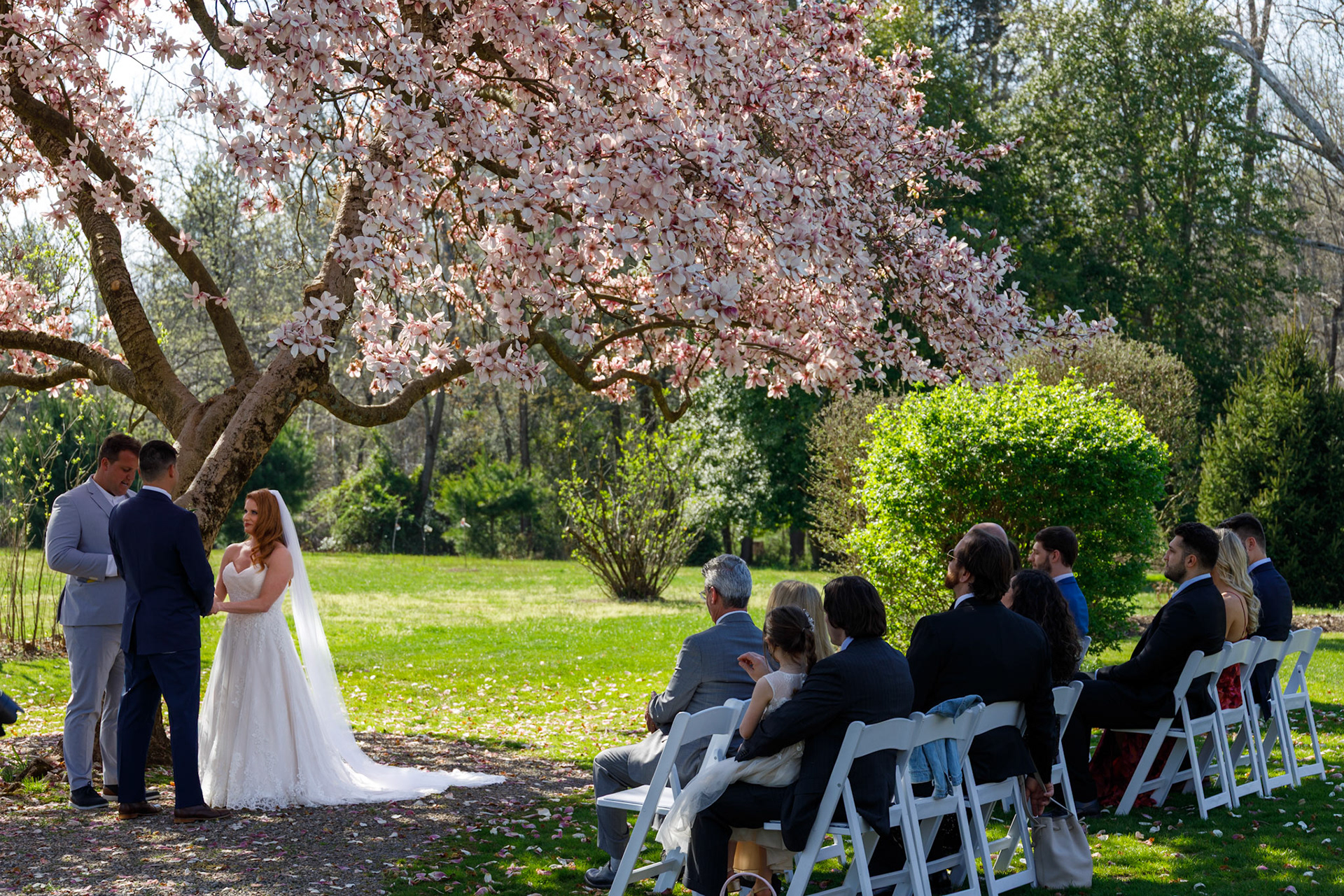 Ceremony under the magnolias in the Julia Child garden