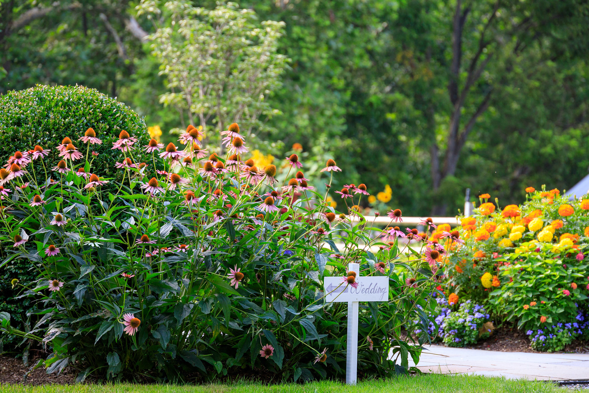 View toward the Sheep Pasture approaching Manor House in Summer