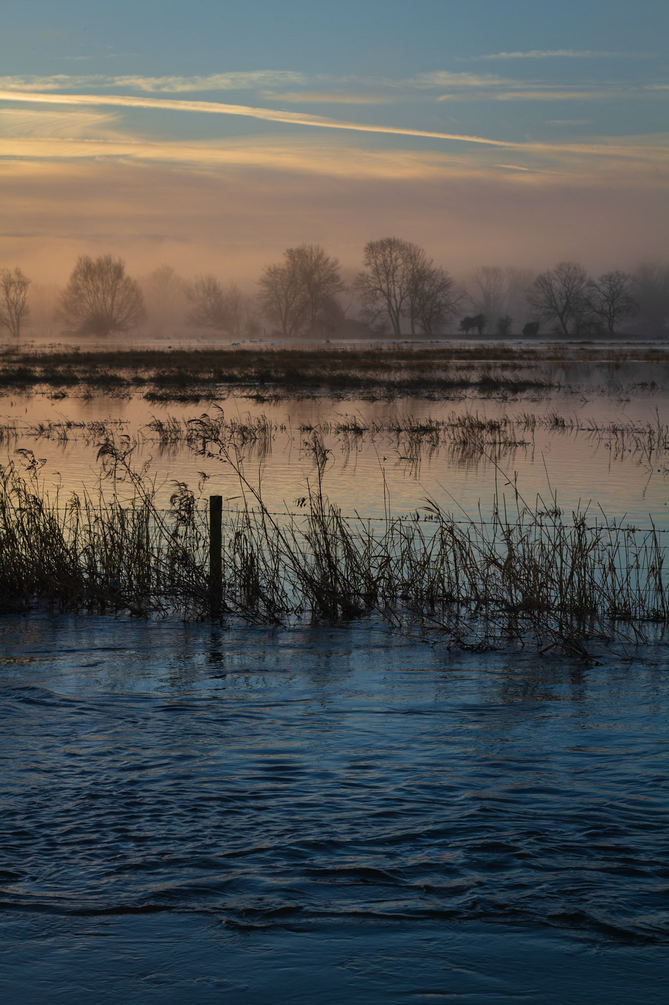 Flooding of the River Avon at Salisbury