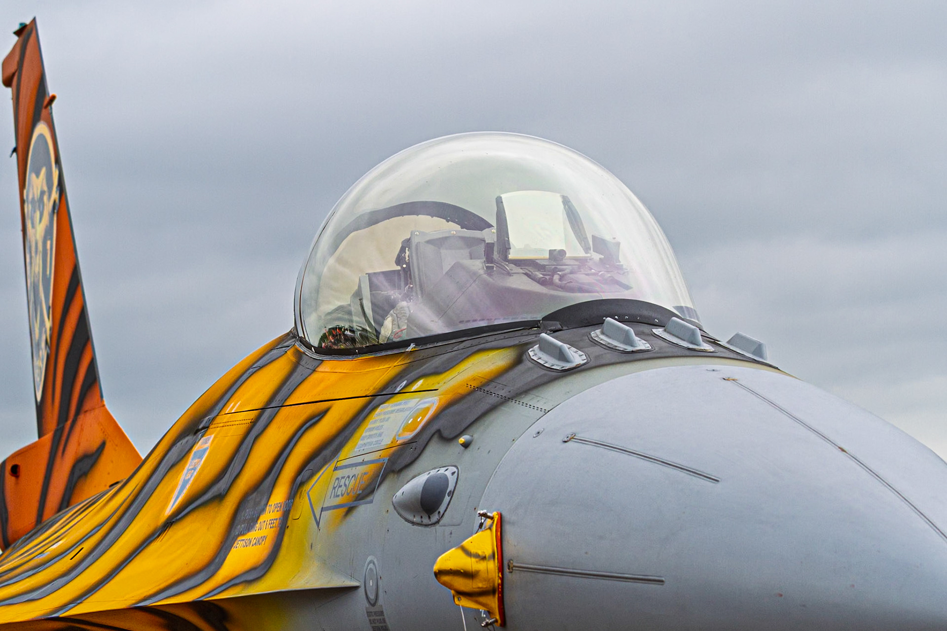 RIAT