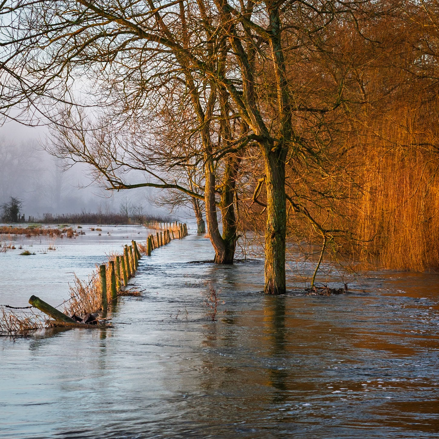 Flooding of the River Avon at Salisbury