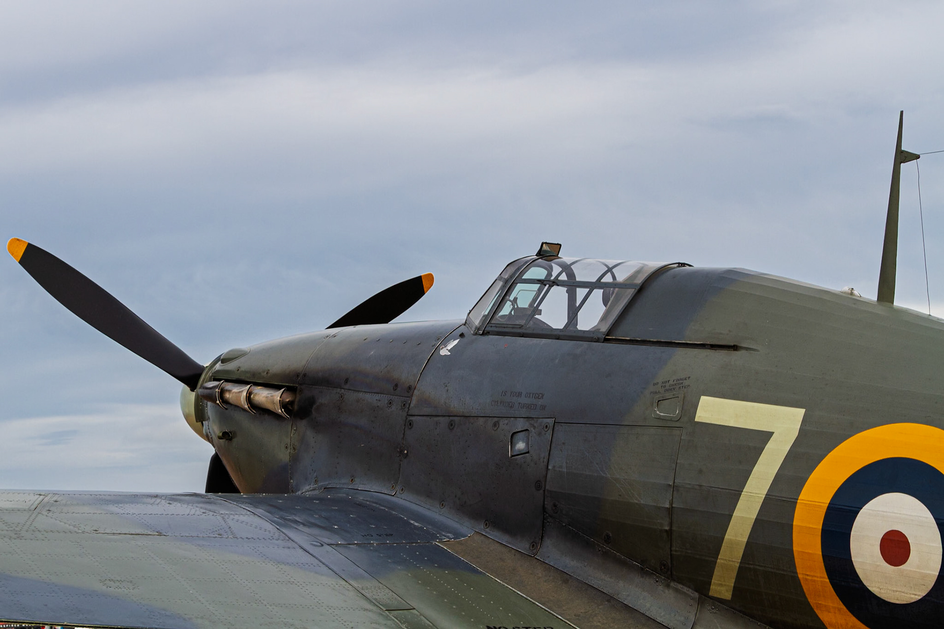 RIAT