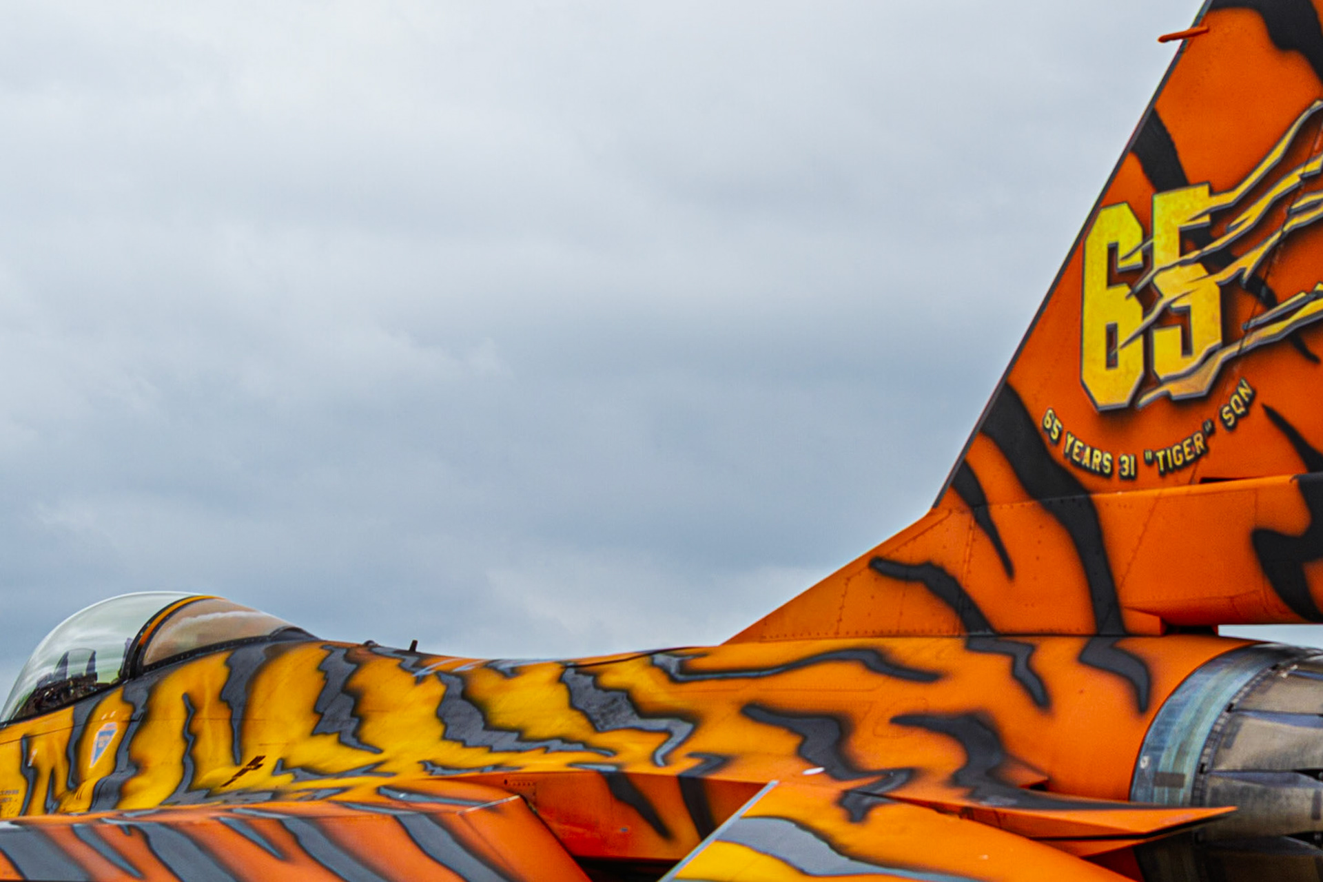 RIAT