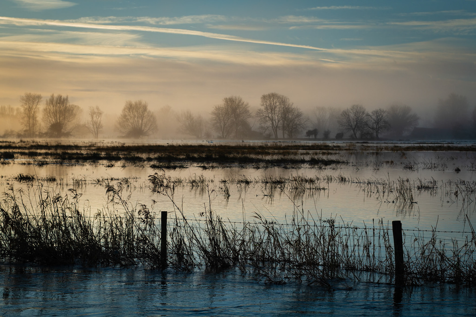 Flooding of the River Avon at Salisbury
