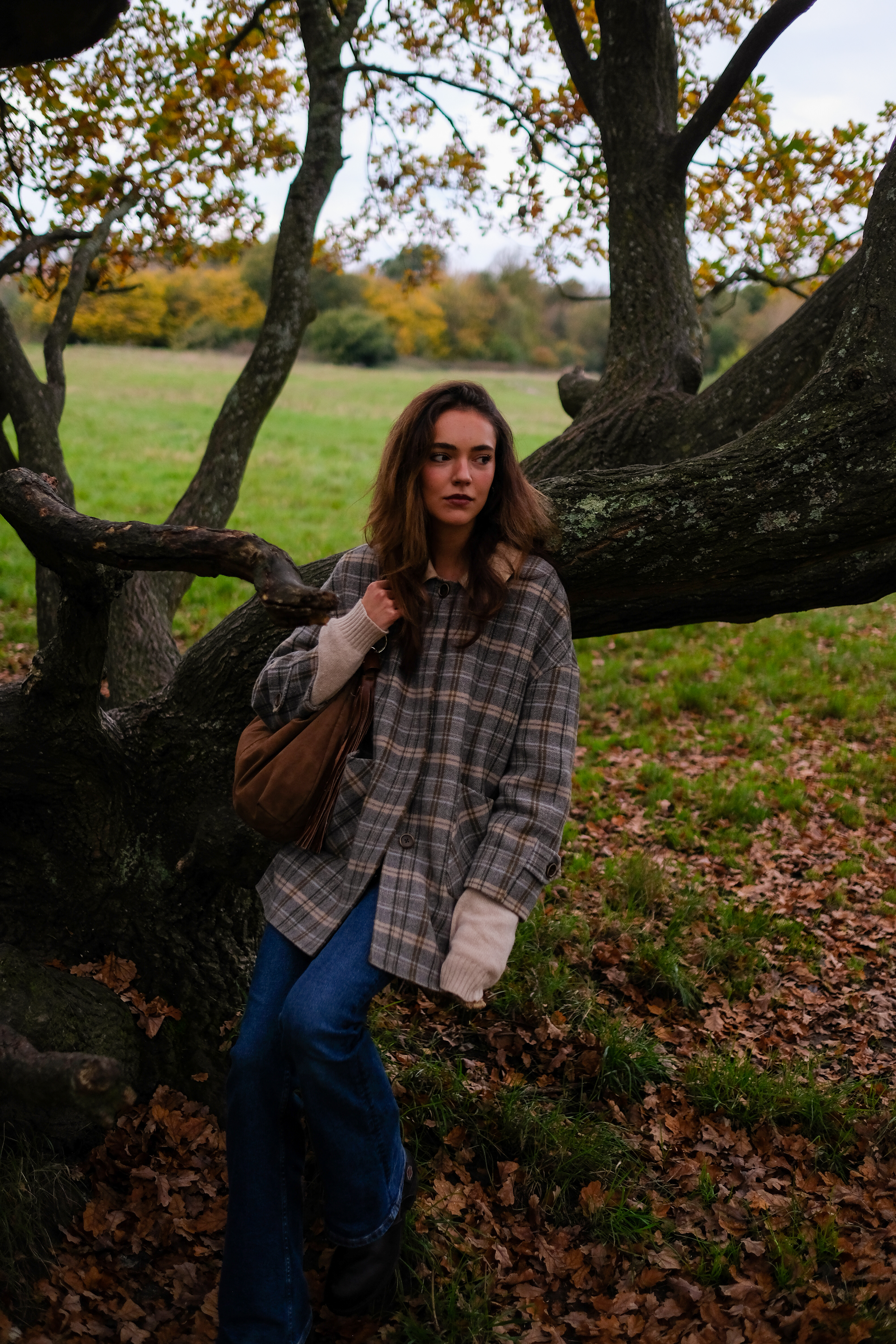 Fujifilm XPro 2, 23mm