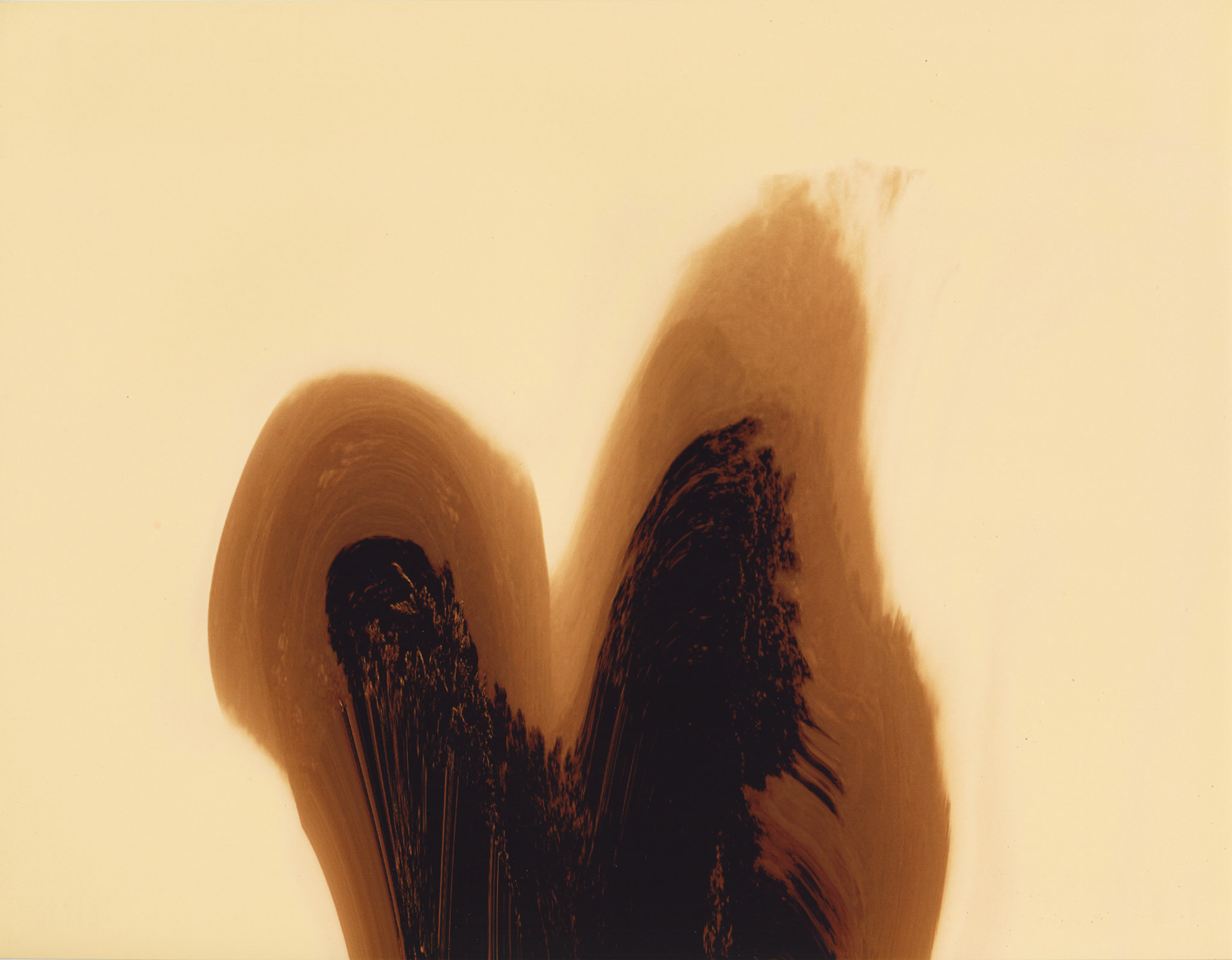 Icharus I, study in polarization. 2013