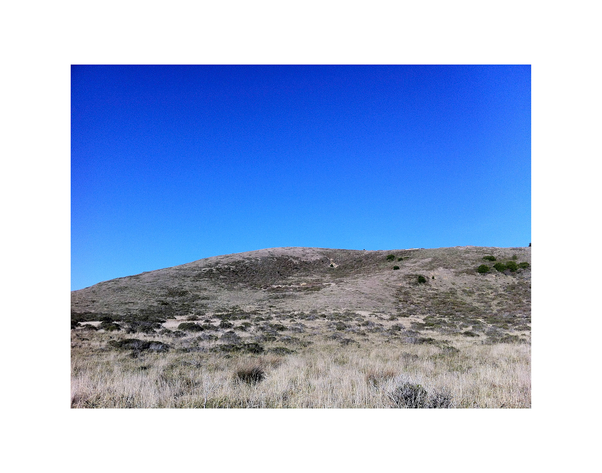 Original. Point Reyes Field. The Ground is not to be Trusted. Dimensions variable.