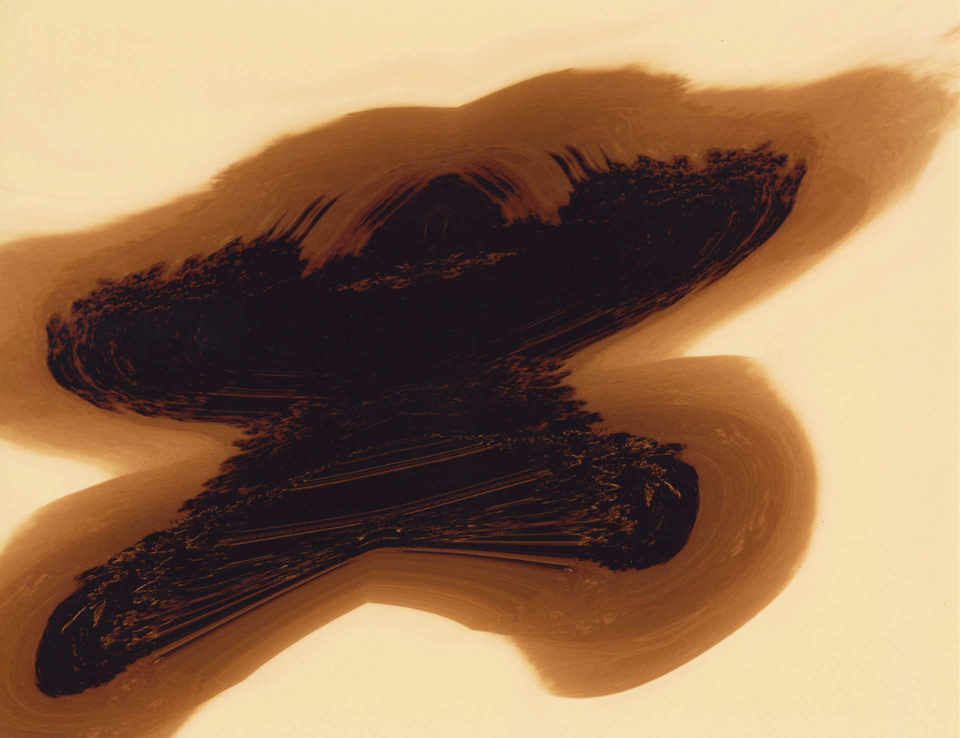 Icharus Transfixed II. 2013