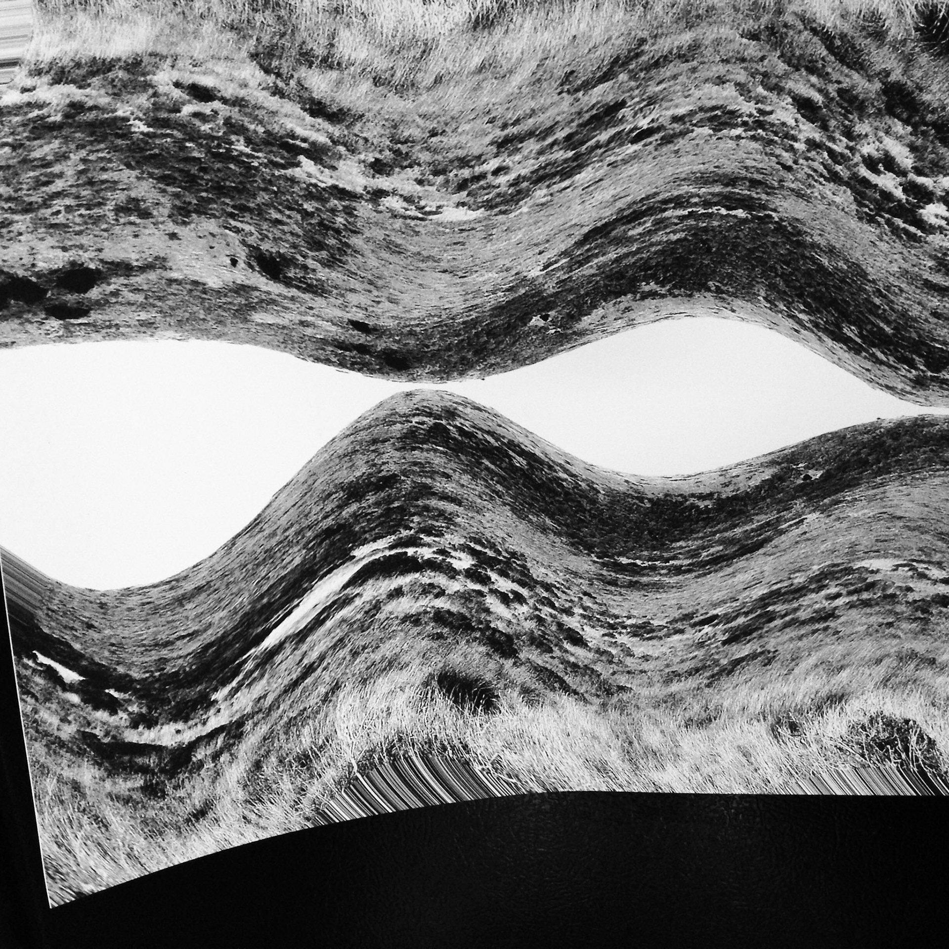 Portrait of a Modular Landscape, 2013.
