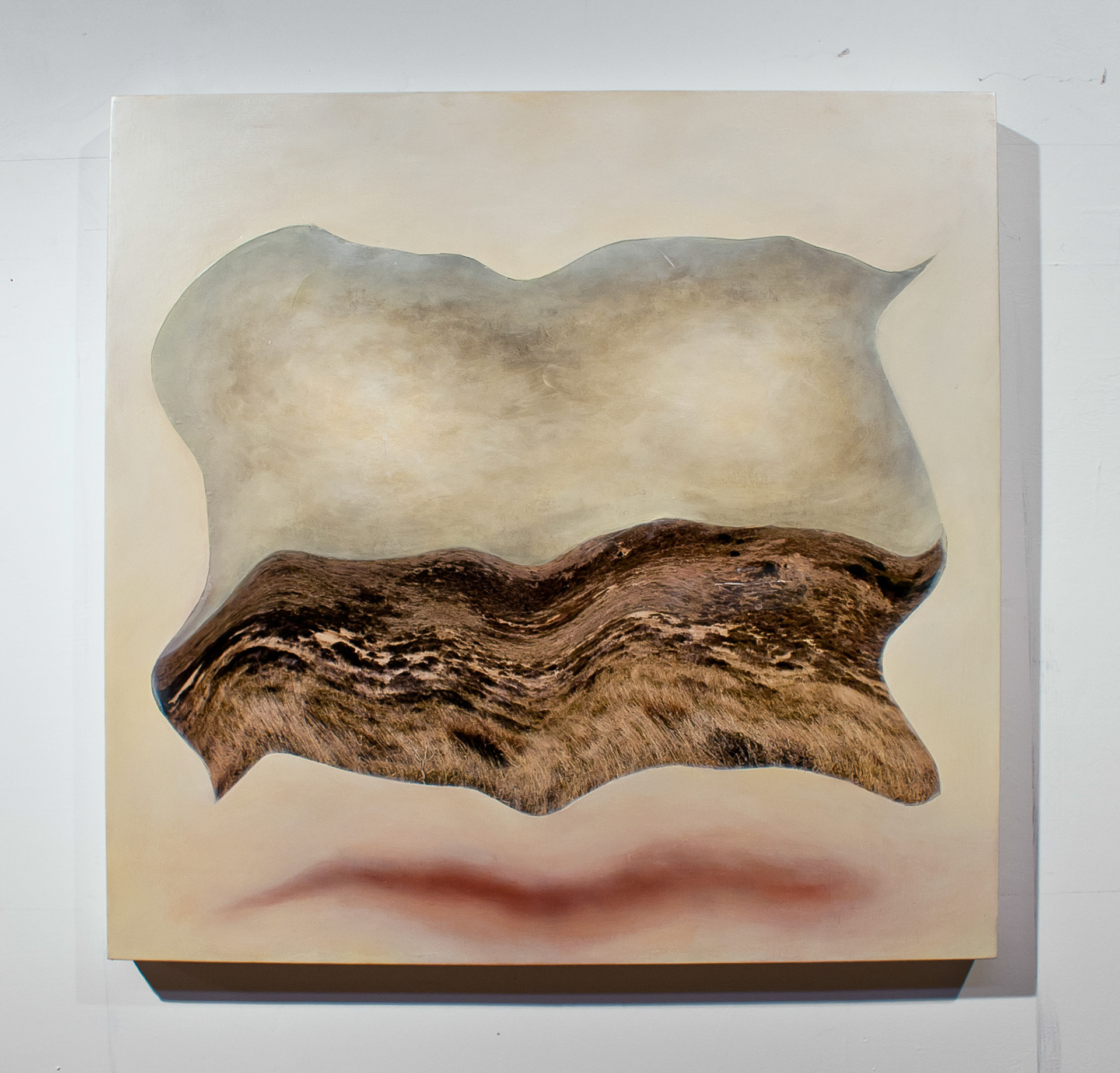 Suspension I, 2012. Oil on panel with hand-colored inkjet print. 24 x 24 inches.