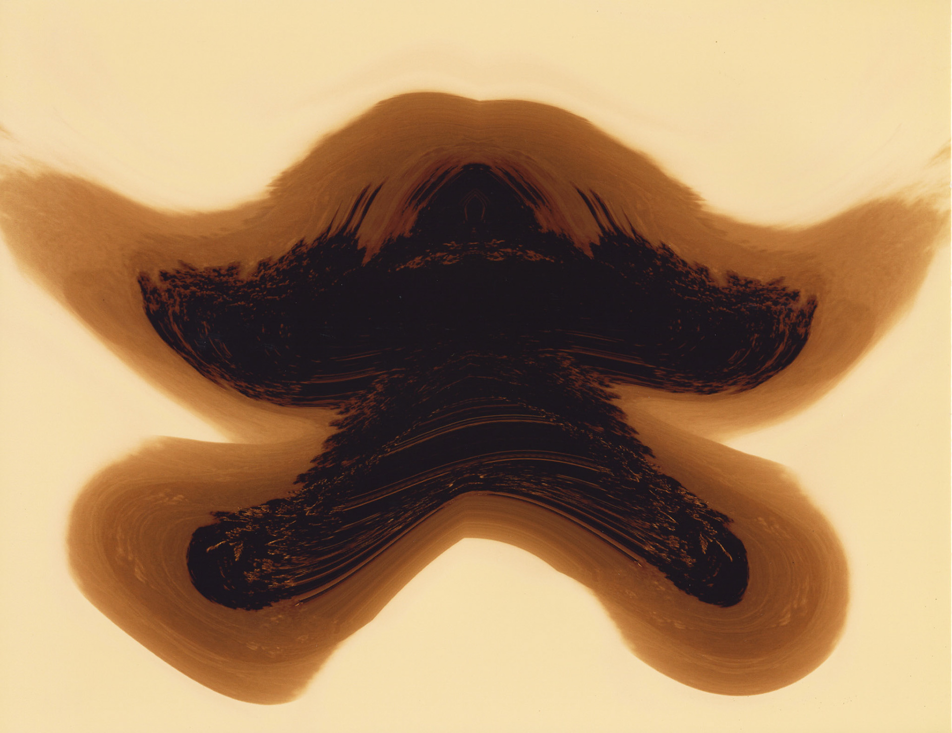 Icharus Transfixed. study in mirroring, polarization. 2013